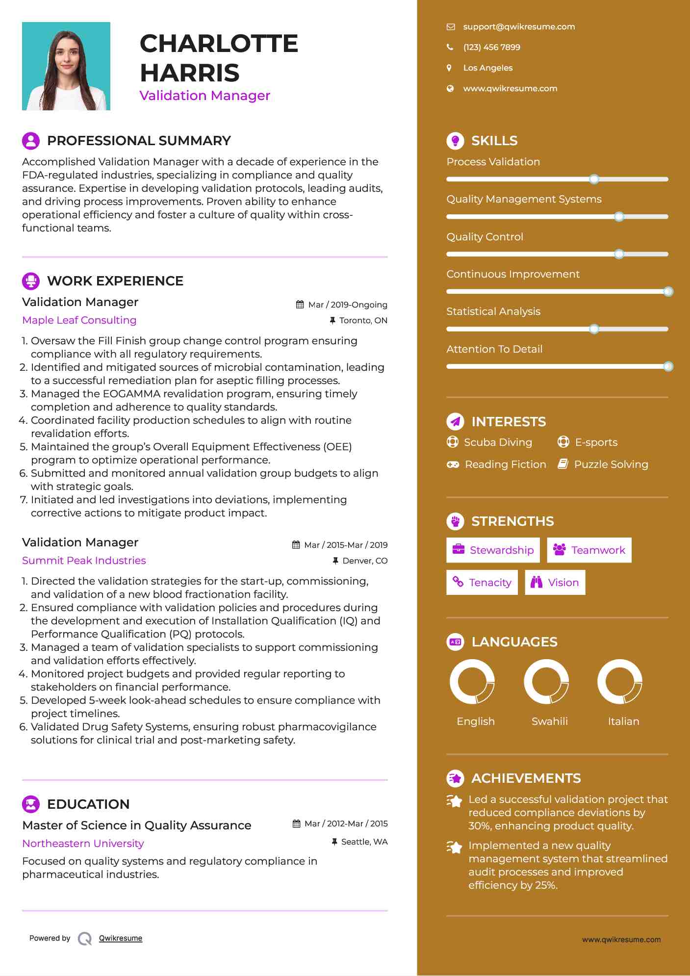 Validation Manager Resume Example