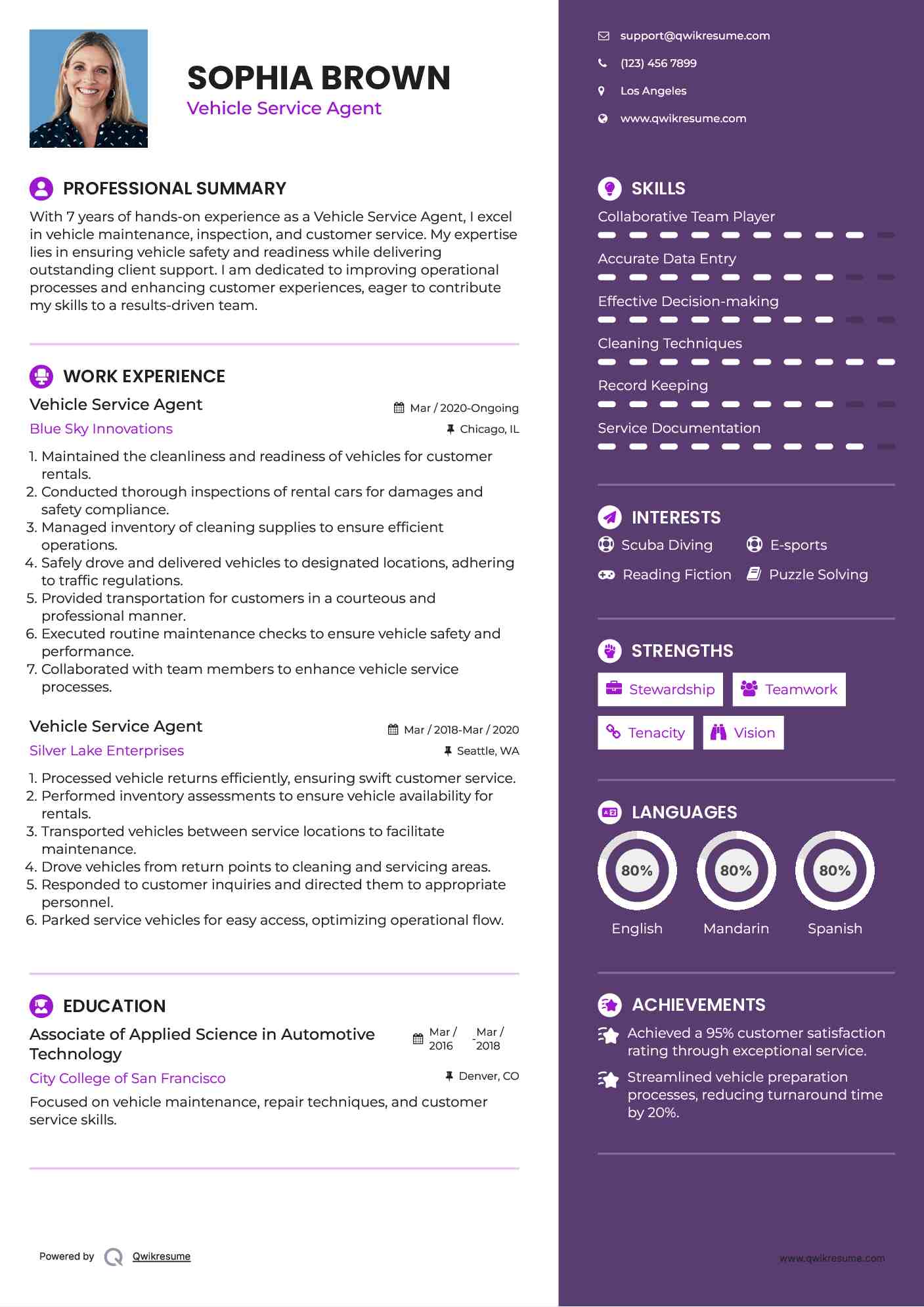 Vehicle Service Agent Resume Sample
