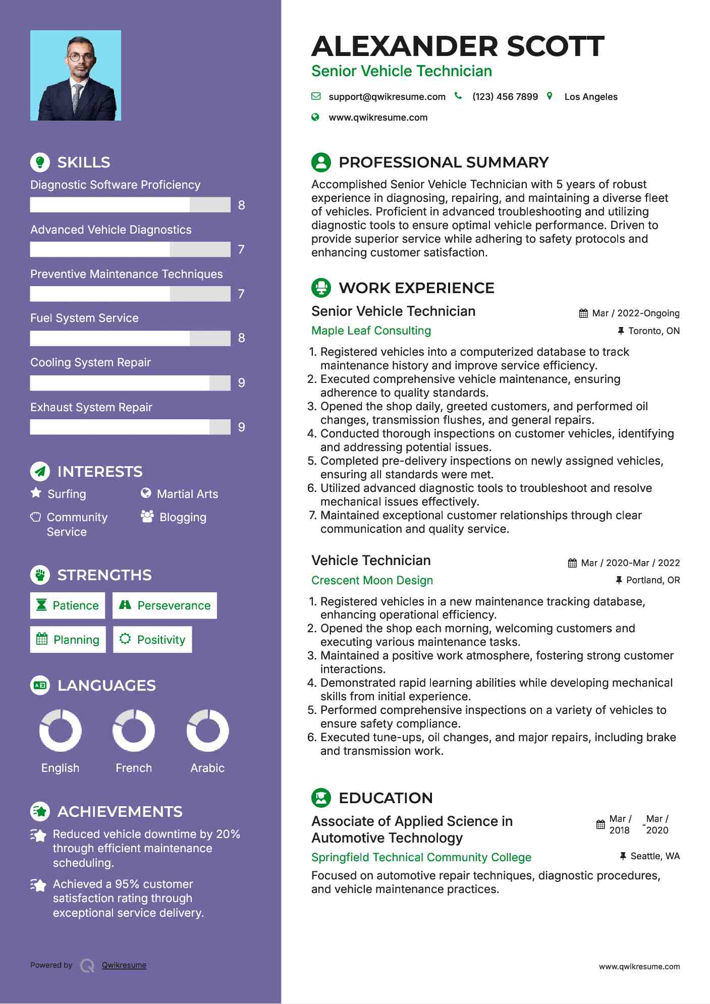 Senior Vehicle Technician Resume Template