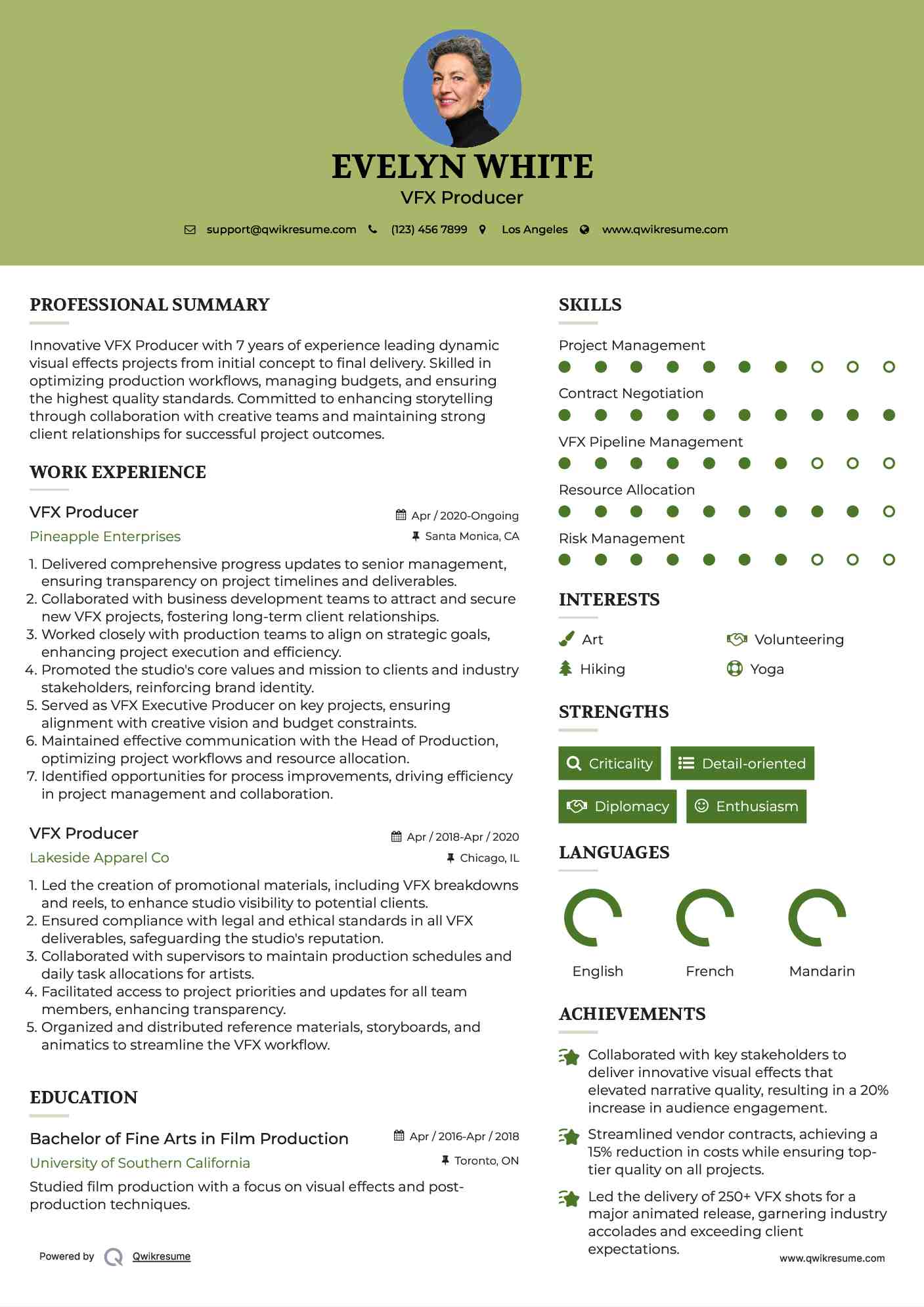 VFX Producer Resume Example