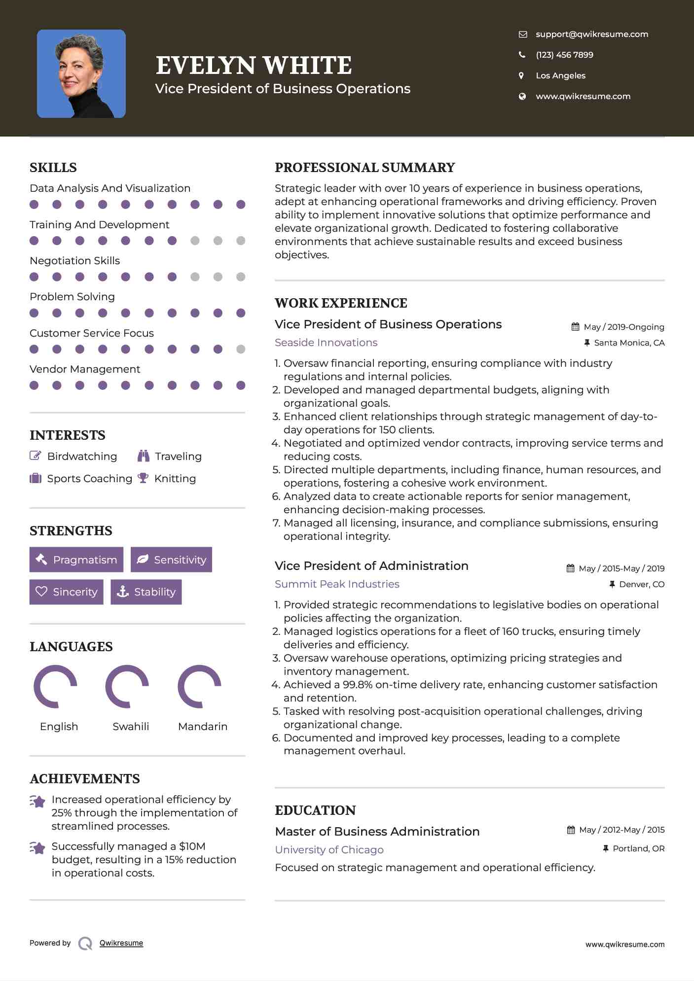 Vice President of Business Operations Resume Example