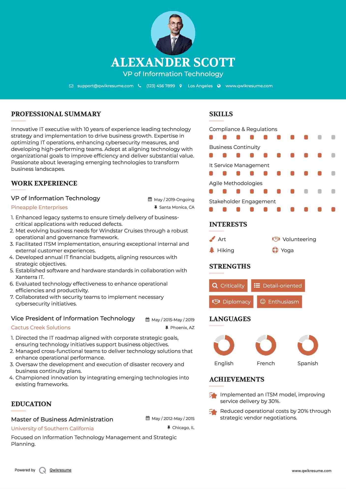 VP of Information Technology Resume Template