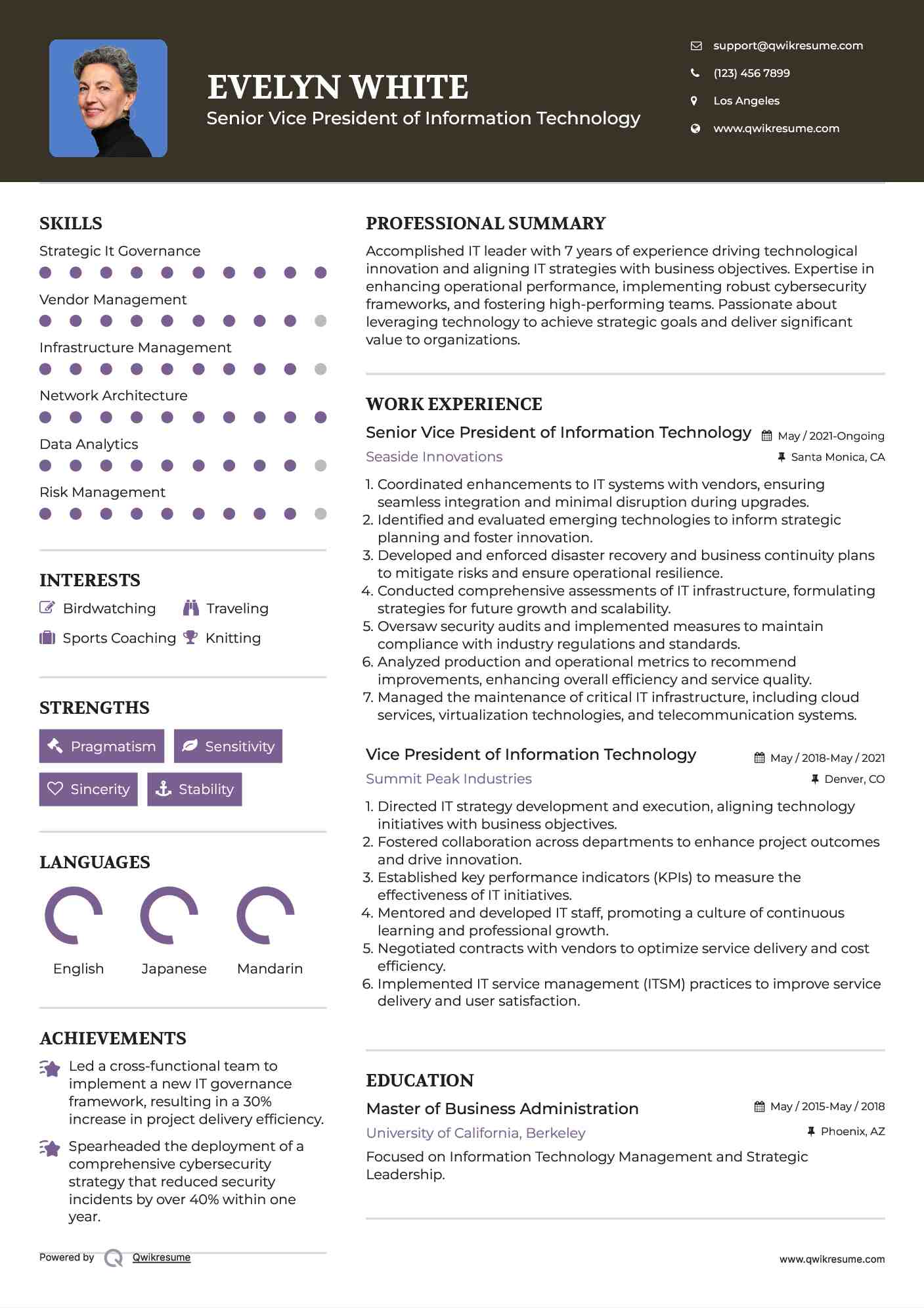 Senior Vice President of Information Technology Resume Example