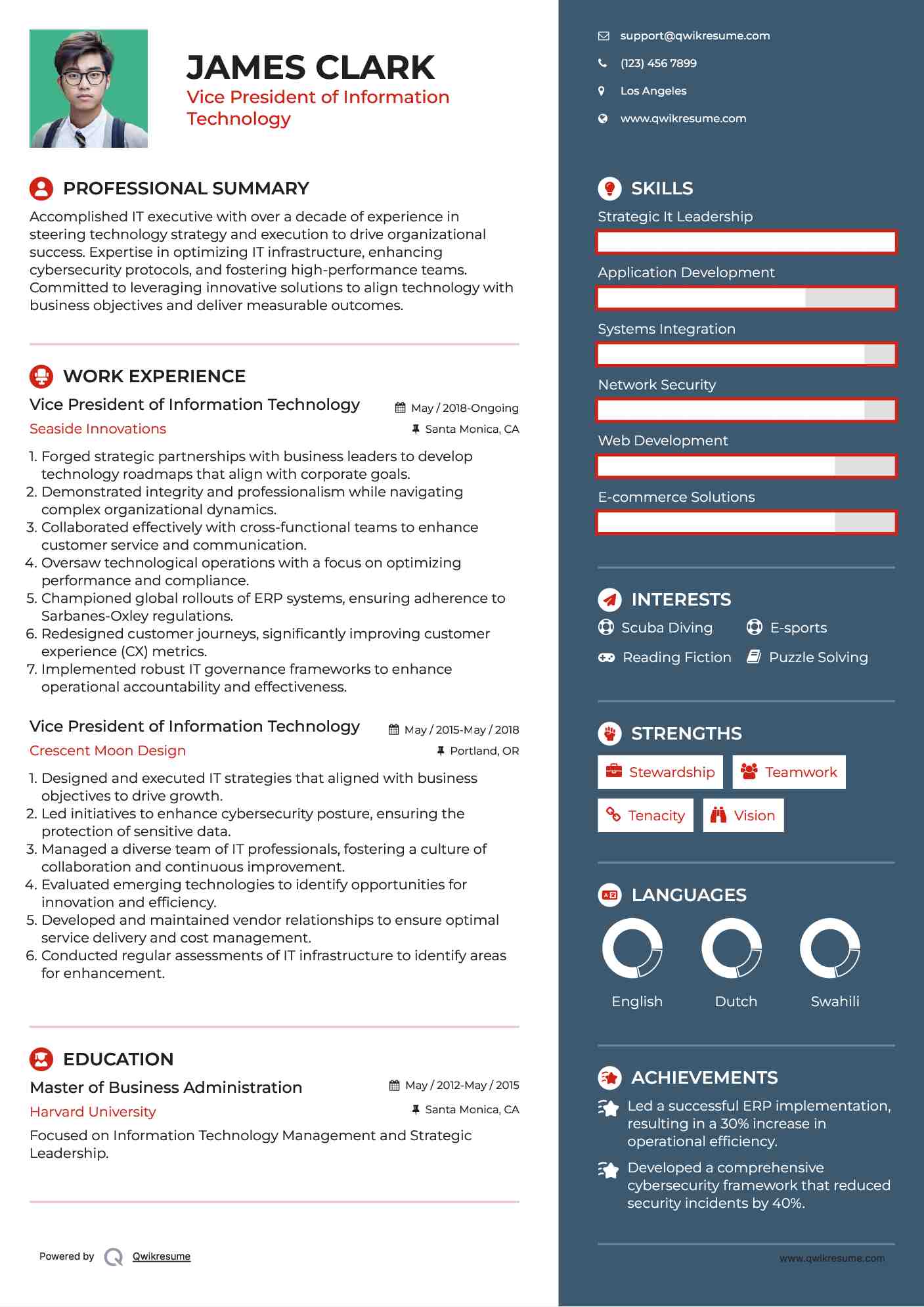 Vice President of Information Technology Resume Template