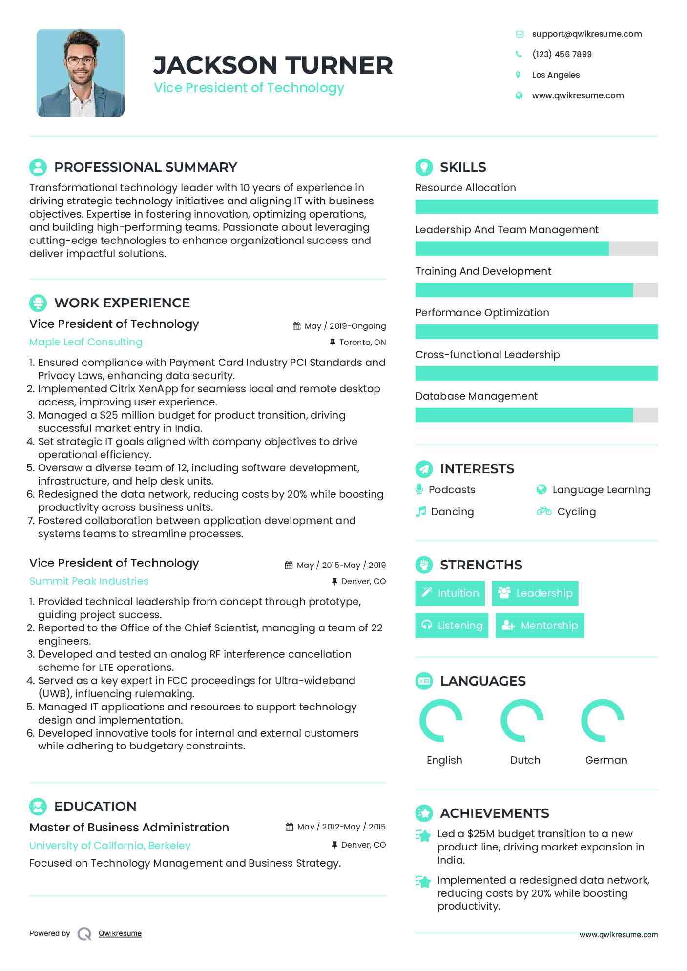Vice President of Technology Resume Example