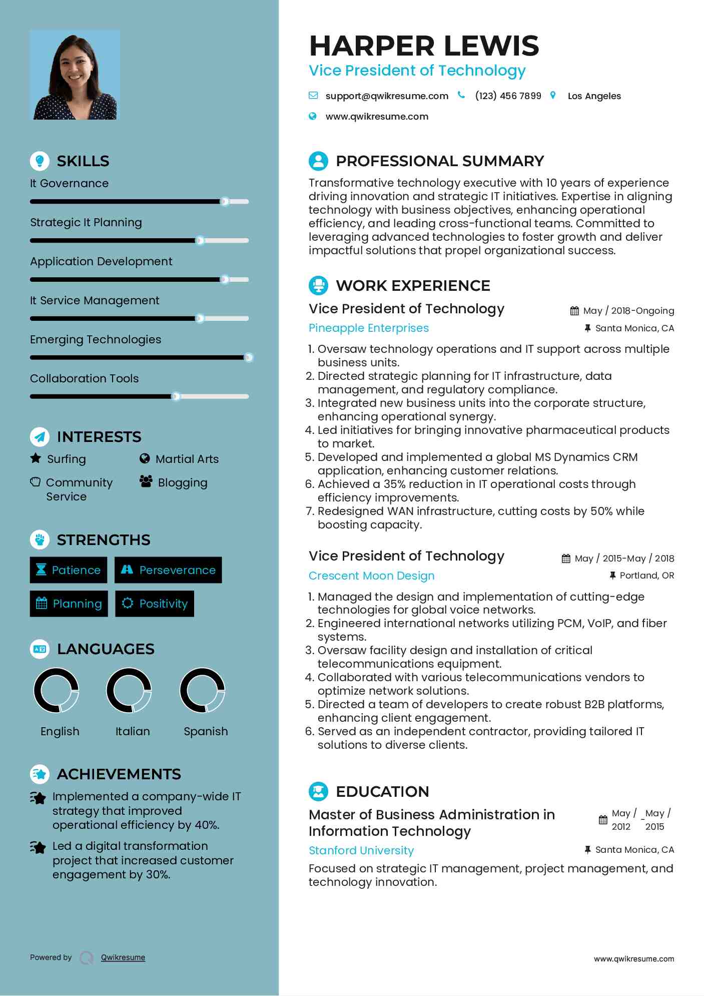 Vice President of Technology Resume Template