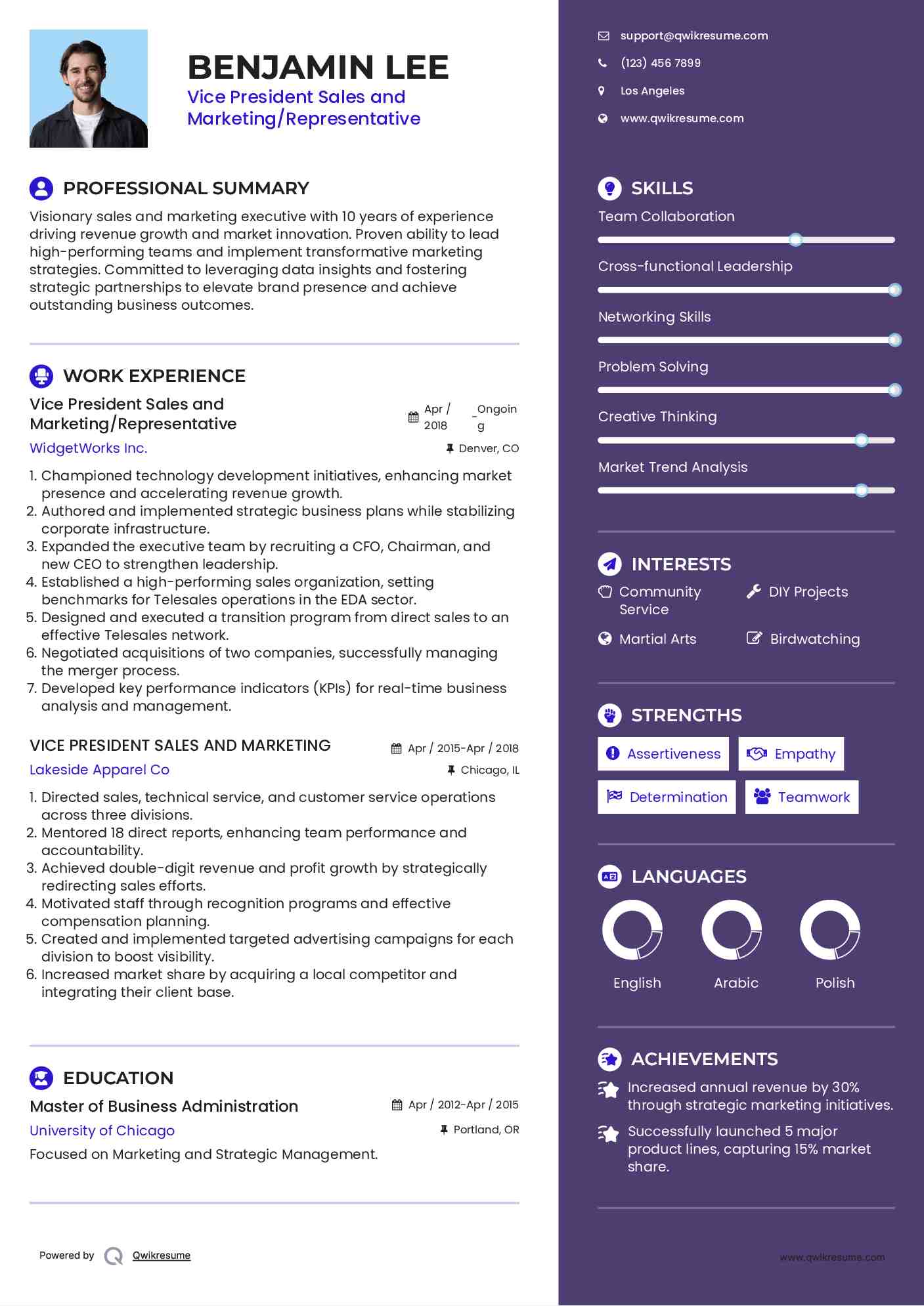 Vice President Sales and Marketing/Representative Resume Example