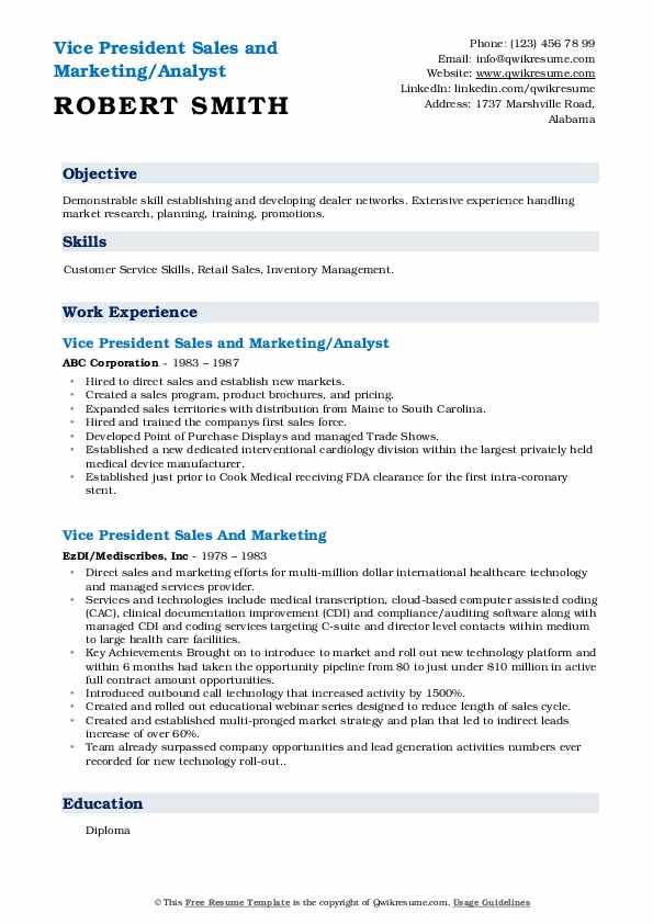 Vice President Sales And Marketing - Vice President Sales And Marketing 1586166056 Pdf 