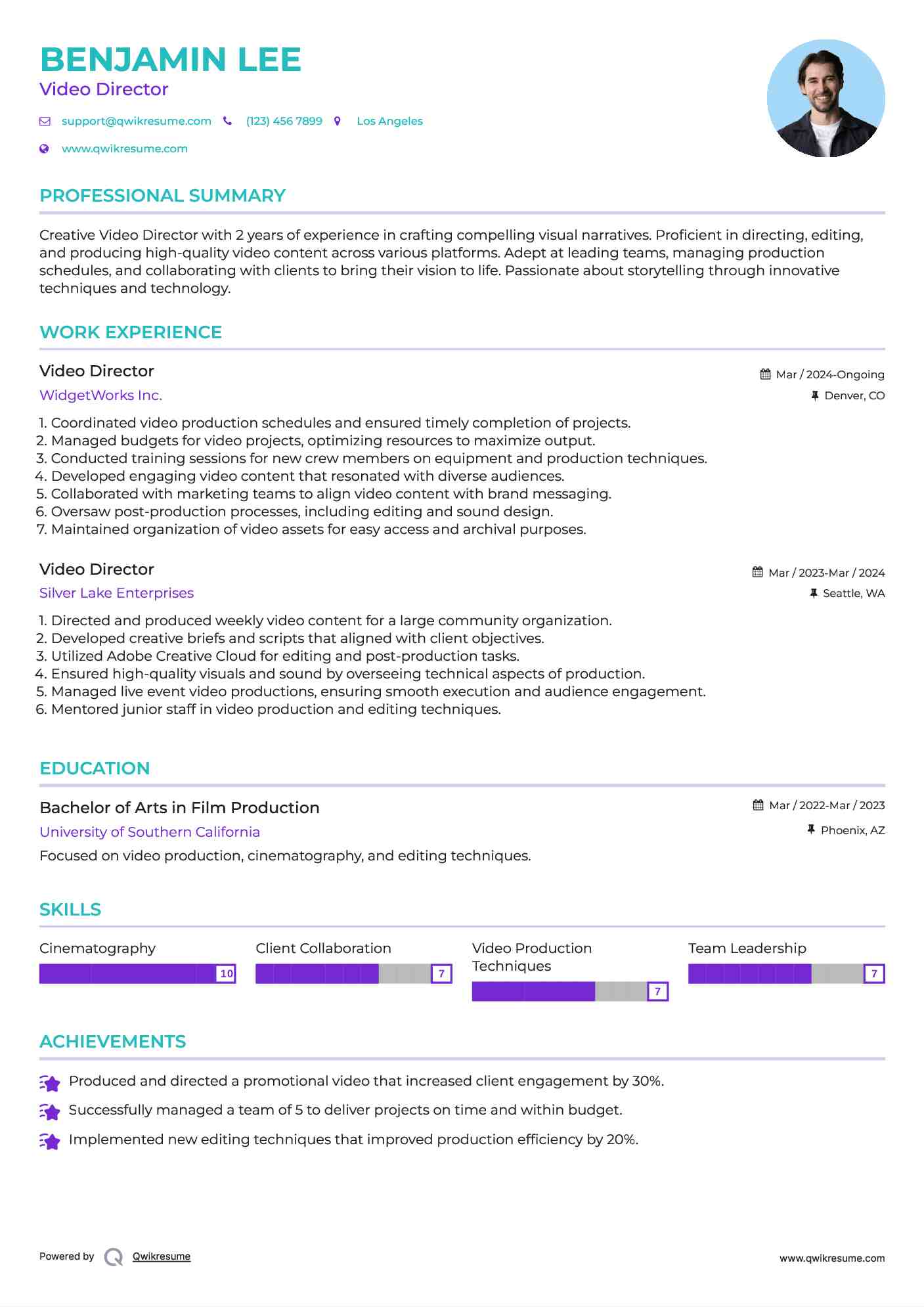 Video Director Resume Example
