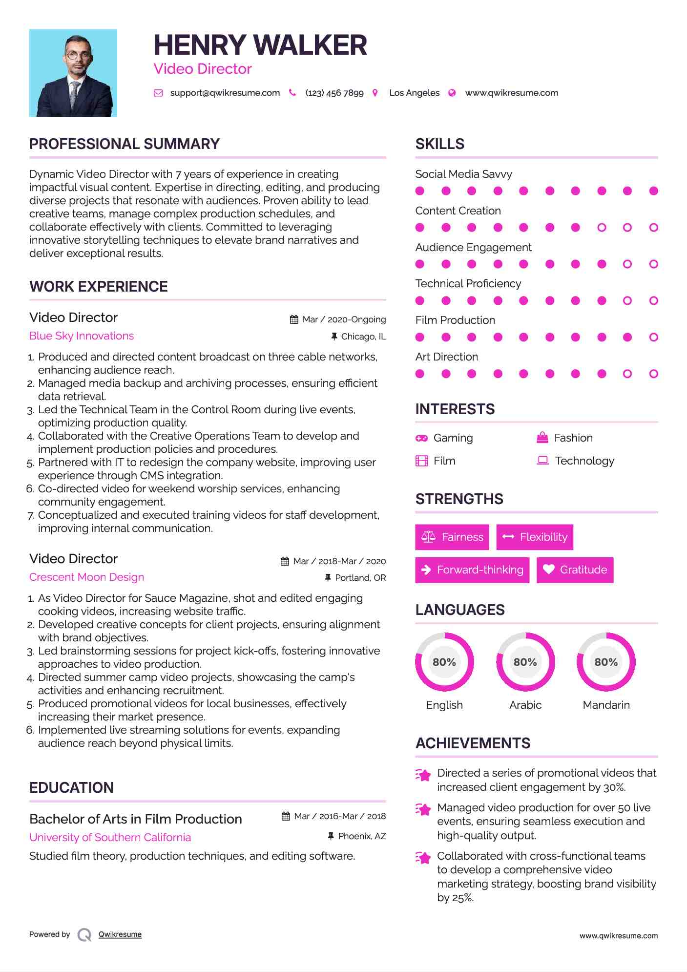 Video Director Resume Sample
