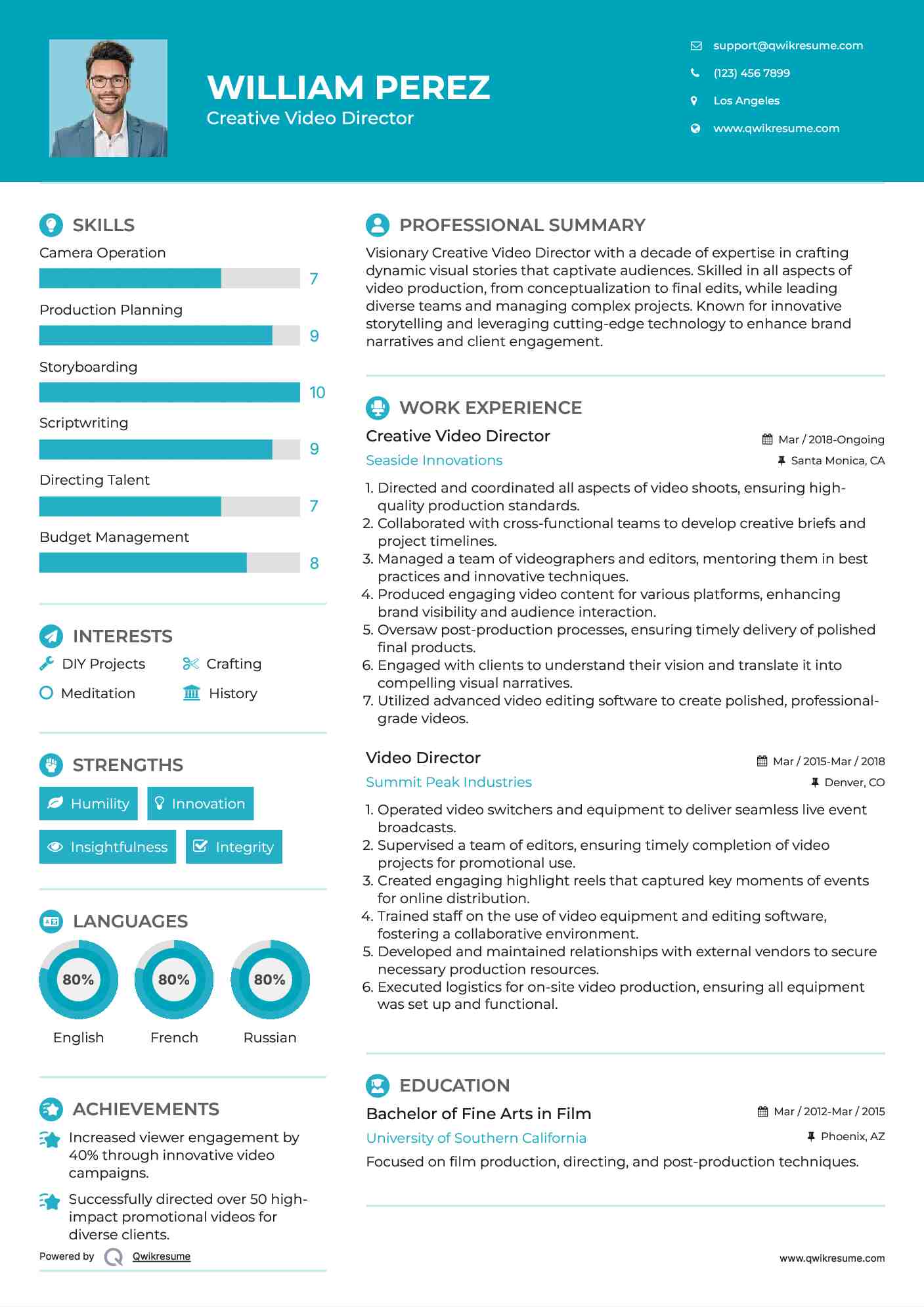 Creative Video Director Resume Example