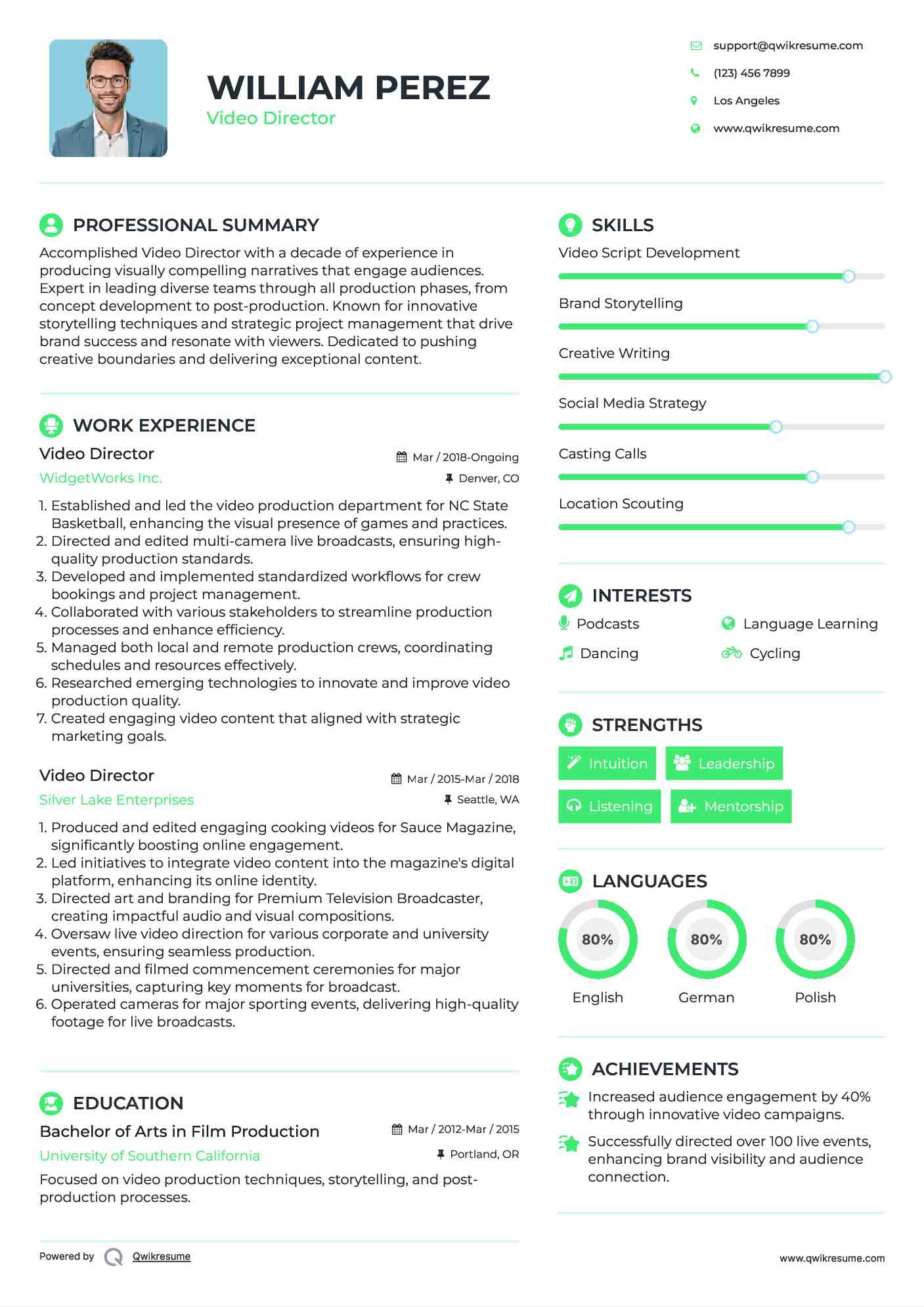 Video Director Resume Model