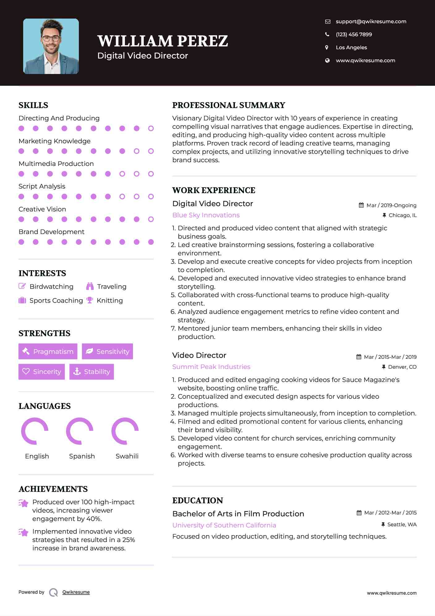 Digital Video Director Resume Template