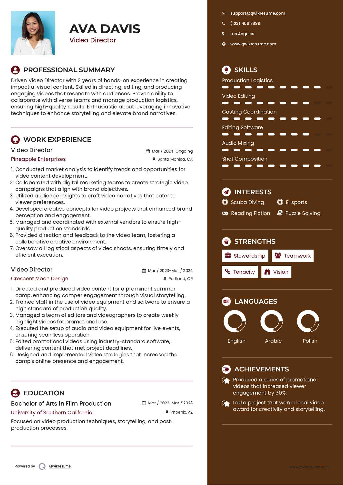 Video Director Resume Format