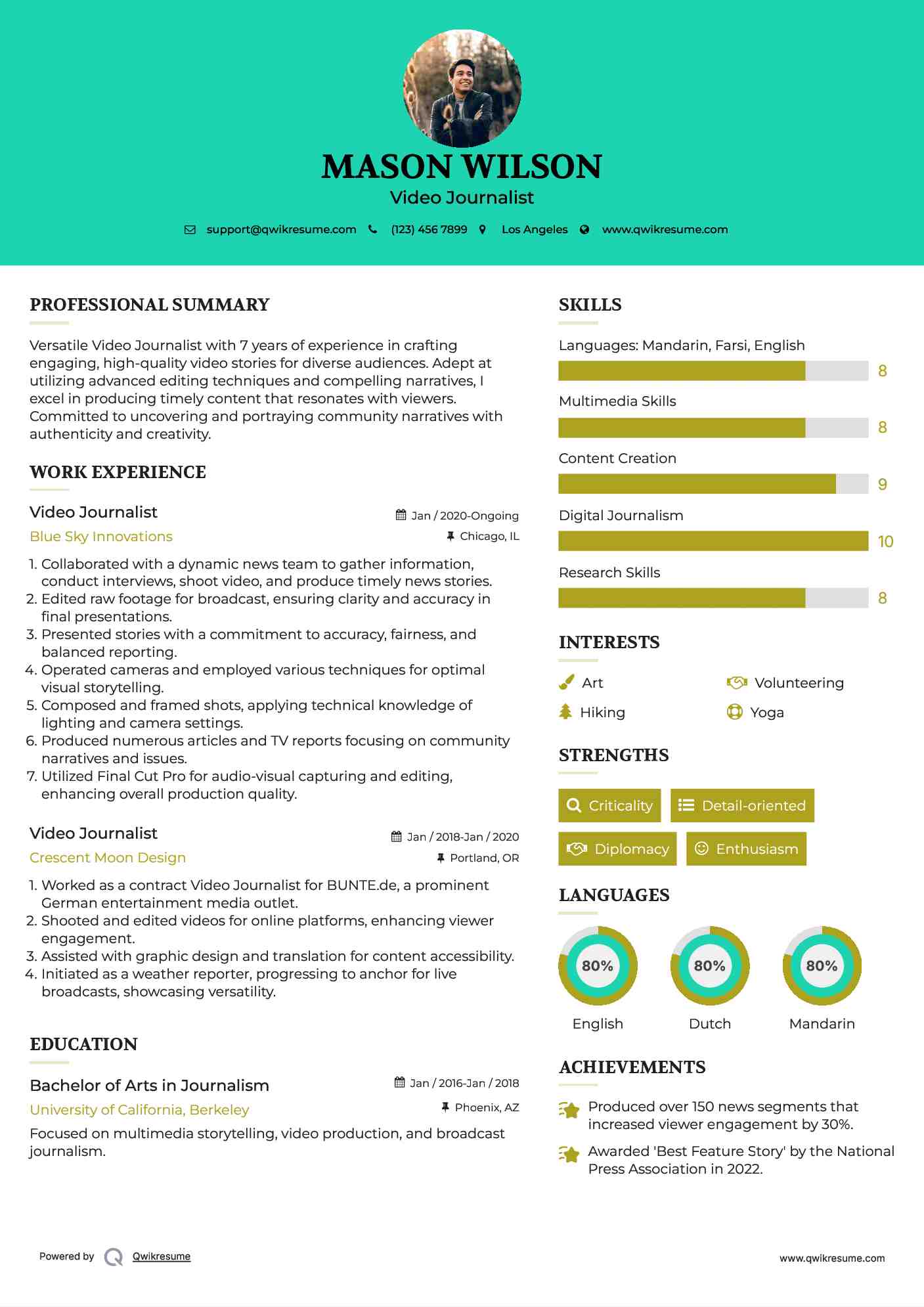 Video Journalist Resume Example