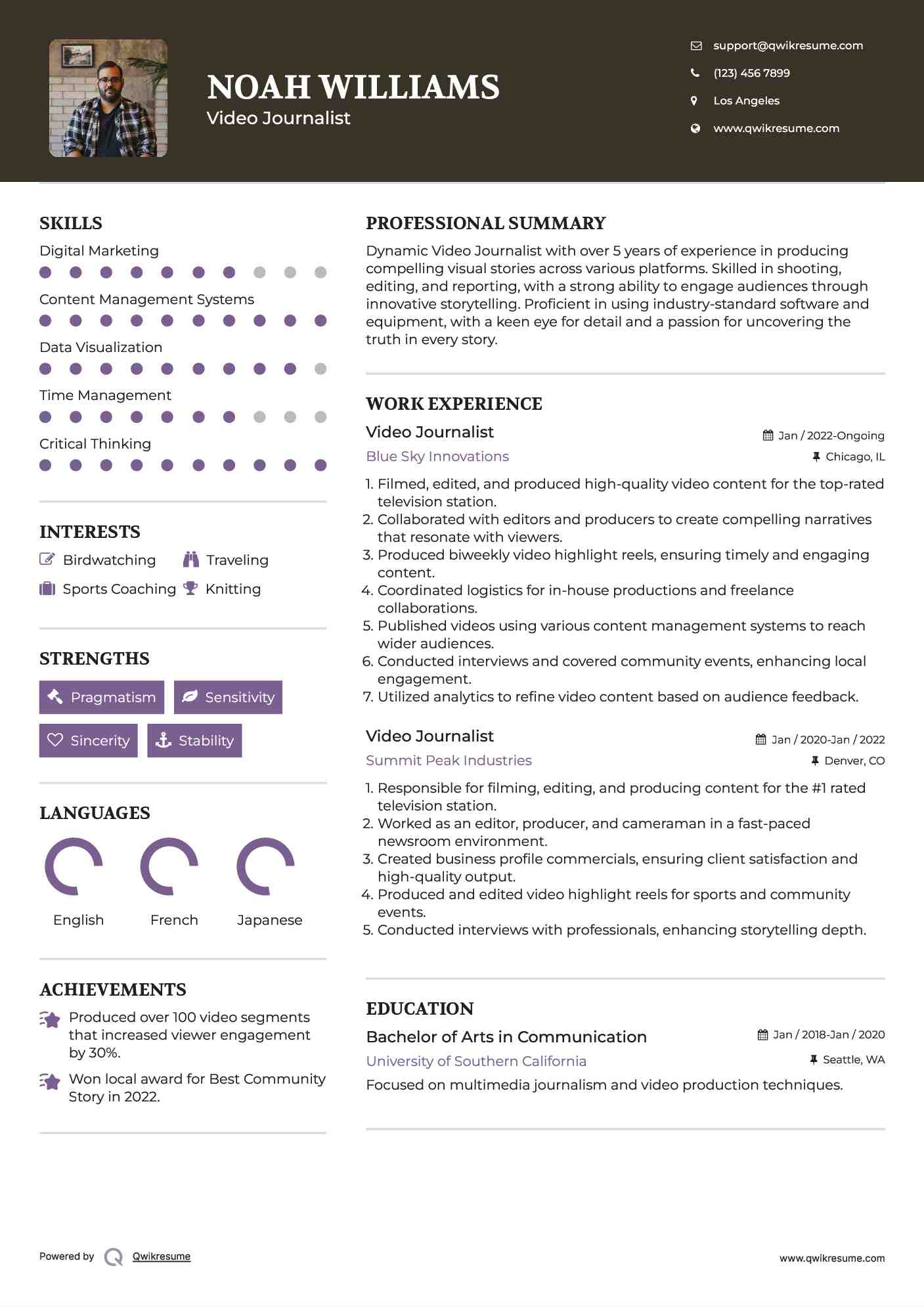 Video Journalist Resume Example