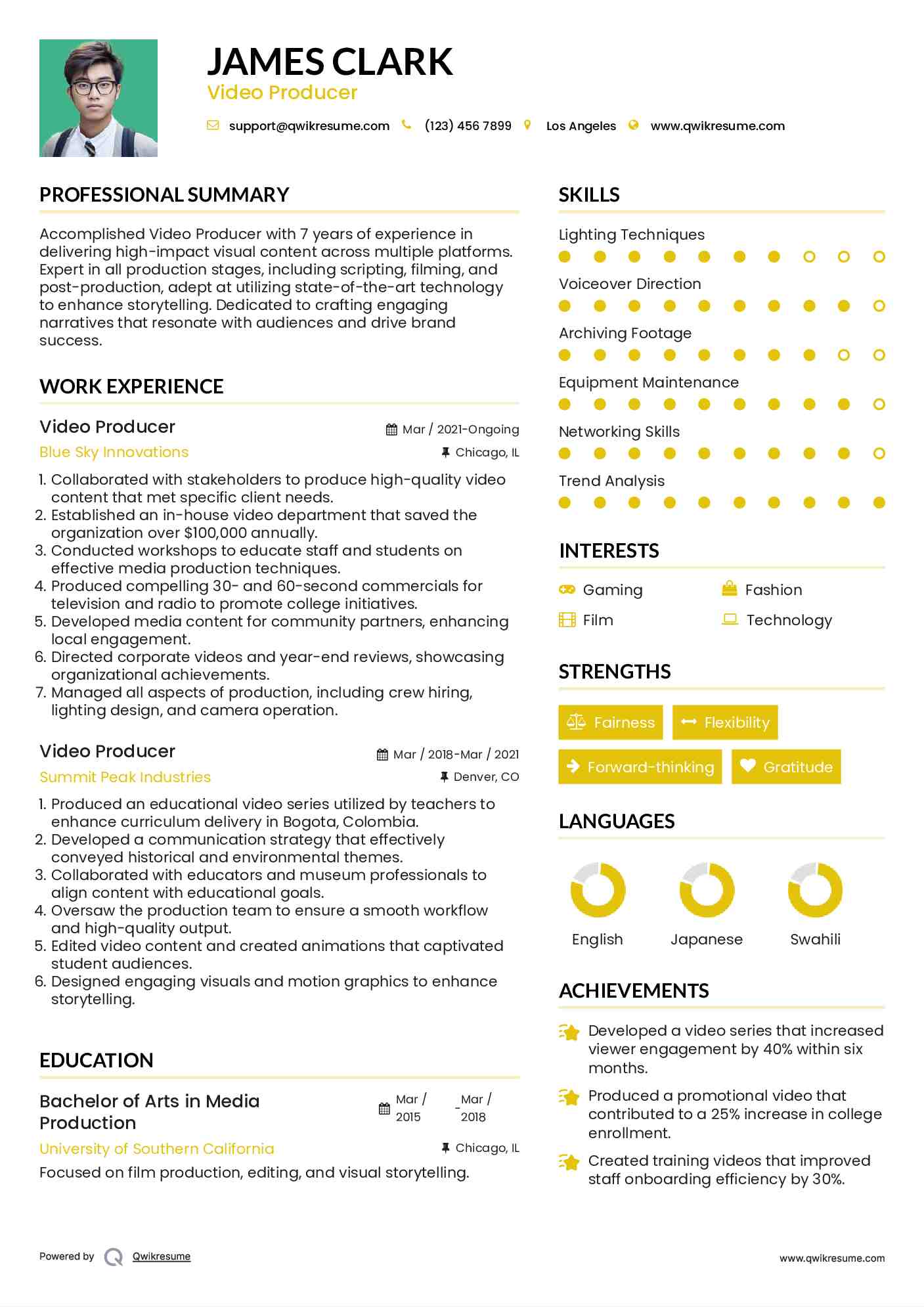 Video Producer Resume Format