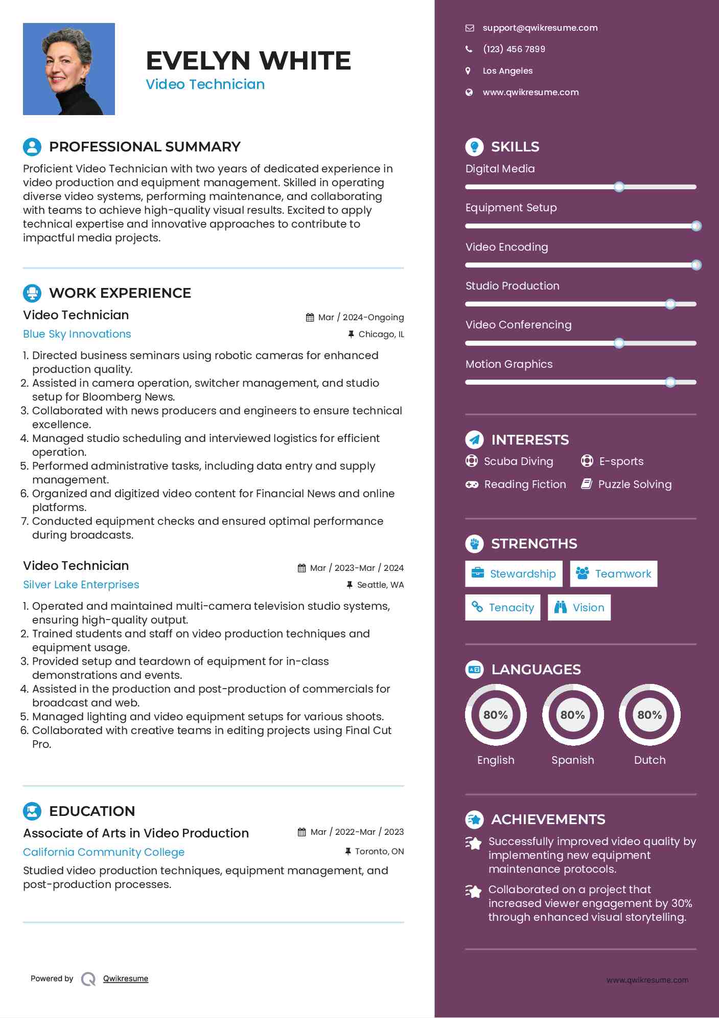 Video Technician Resume Example