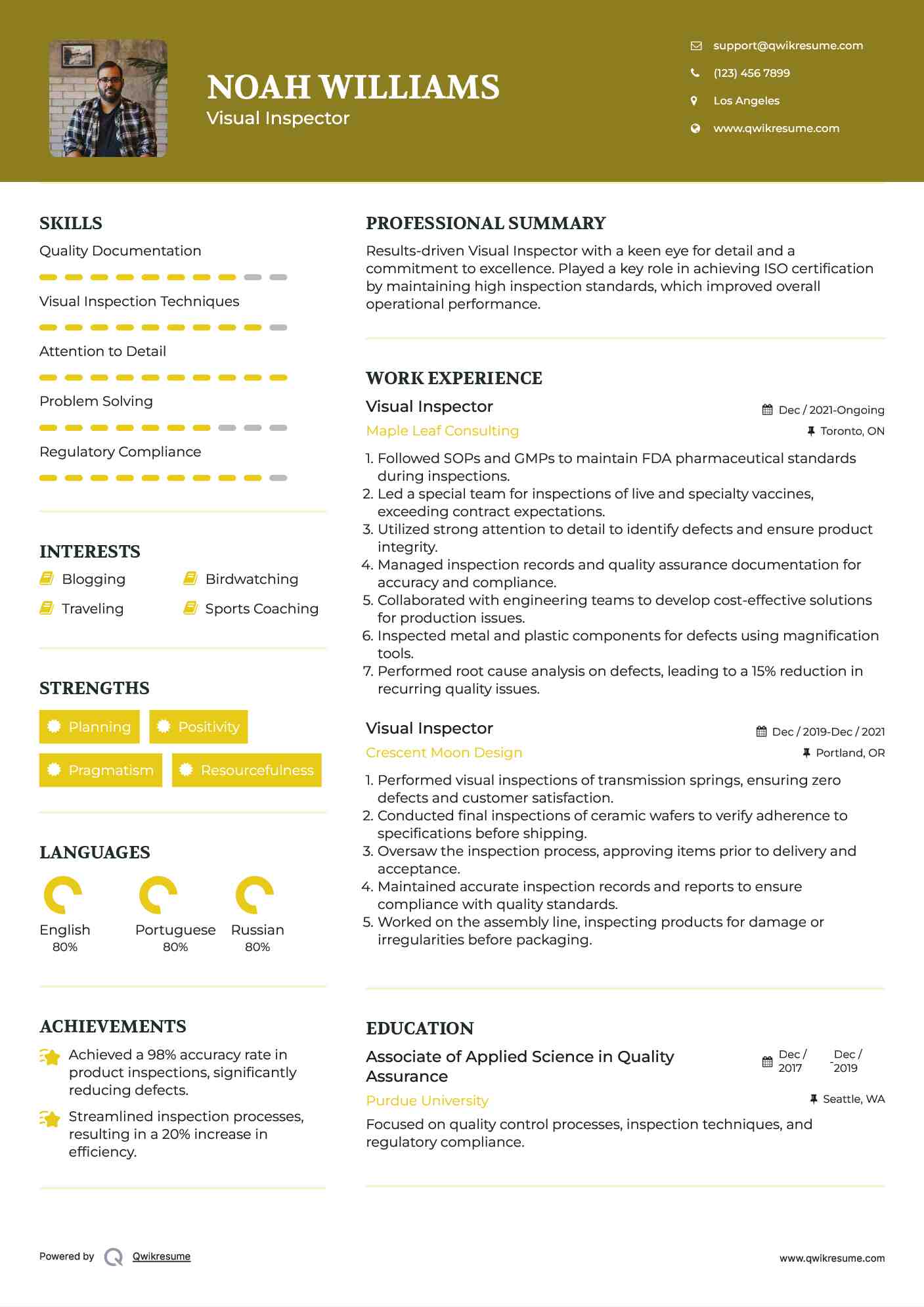 Visual Inspector Resume Model