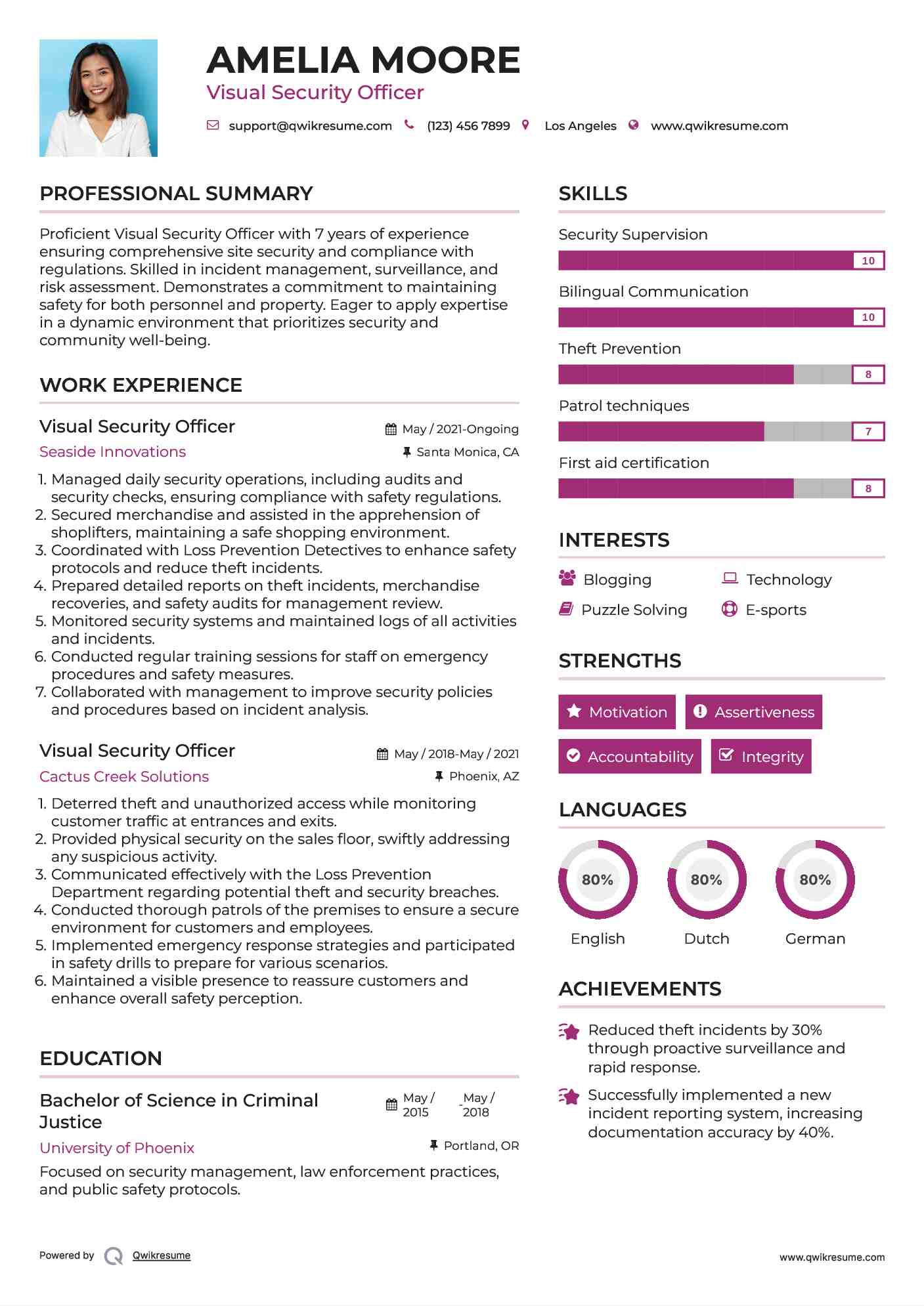 Visual Security Officer Resume Sample