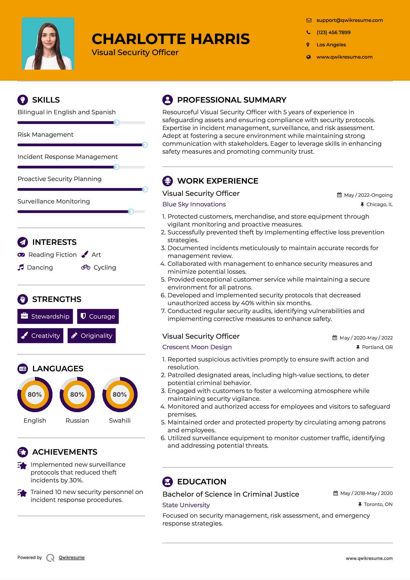 Visual Security Officer Resume Format