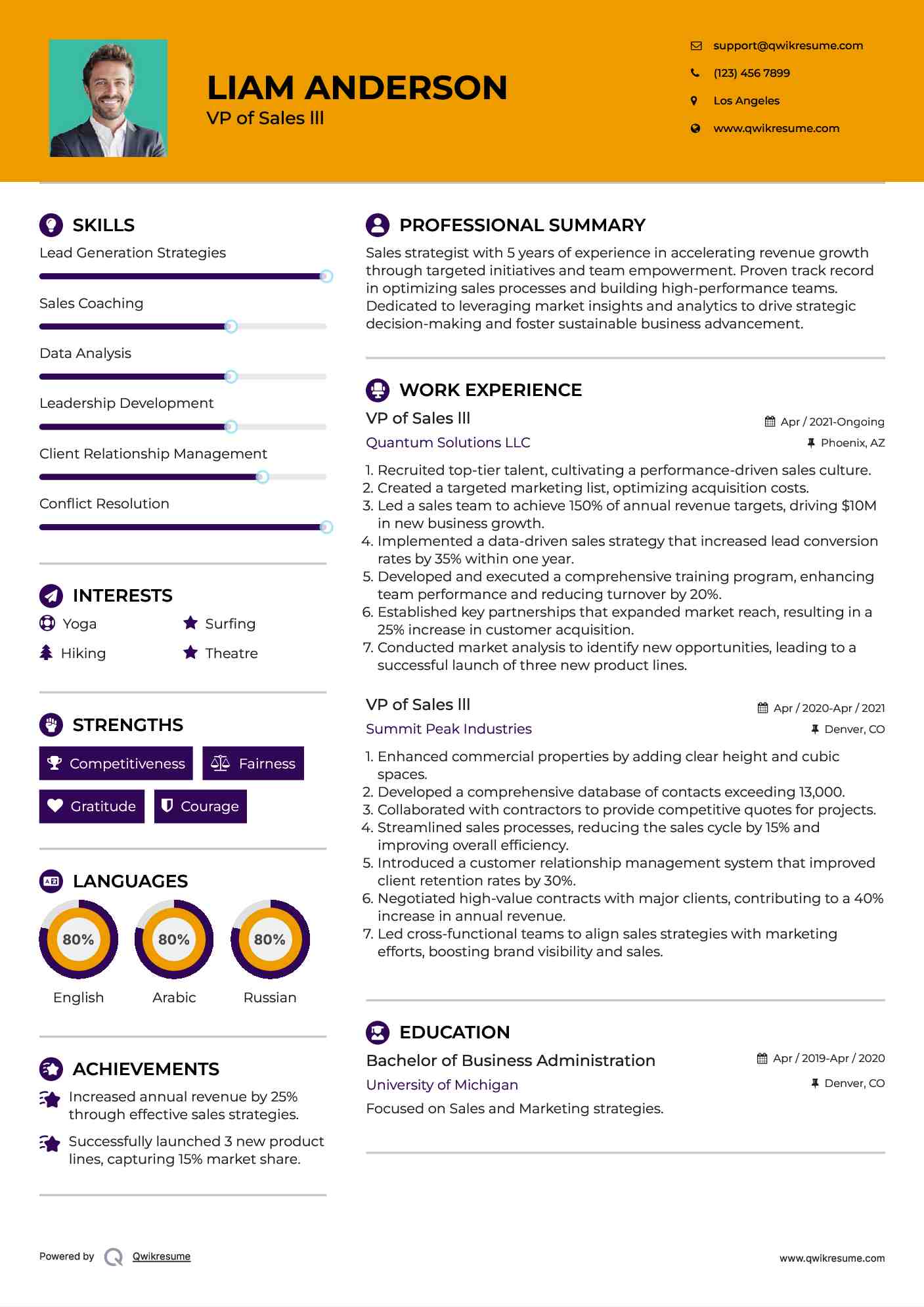 VP of Sales lll Resume Template