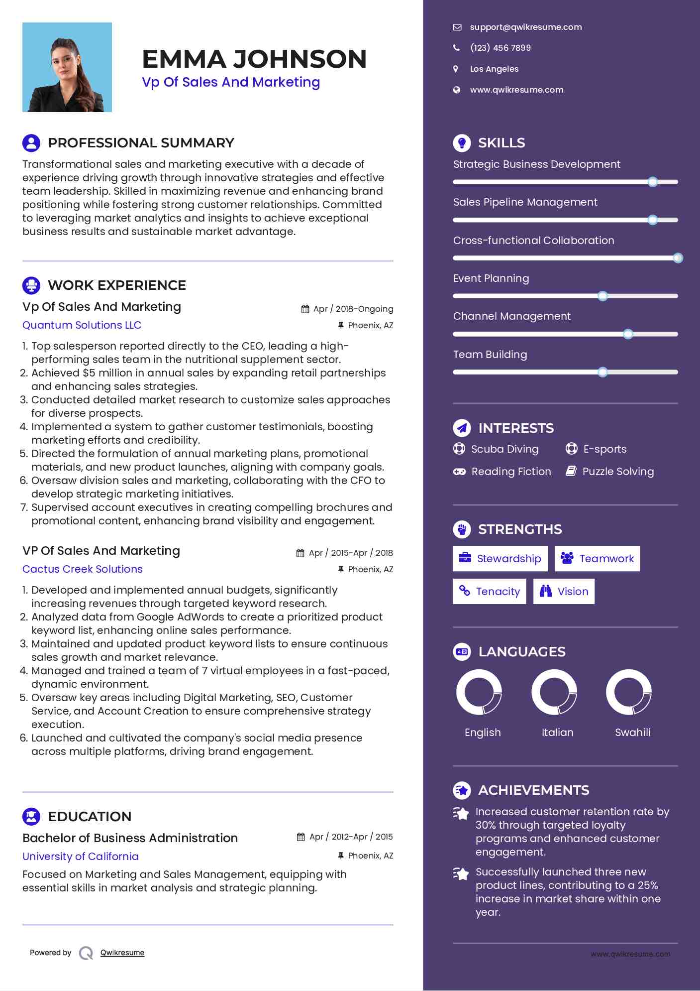 Vp Of Sales And Marketing Resume Template