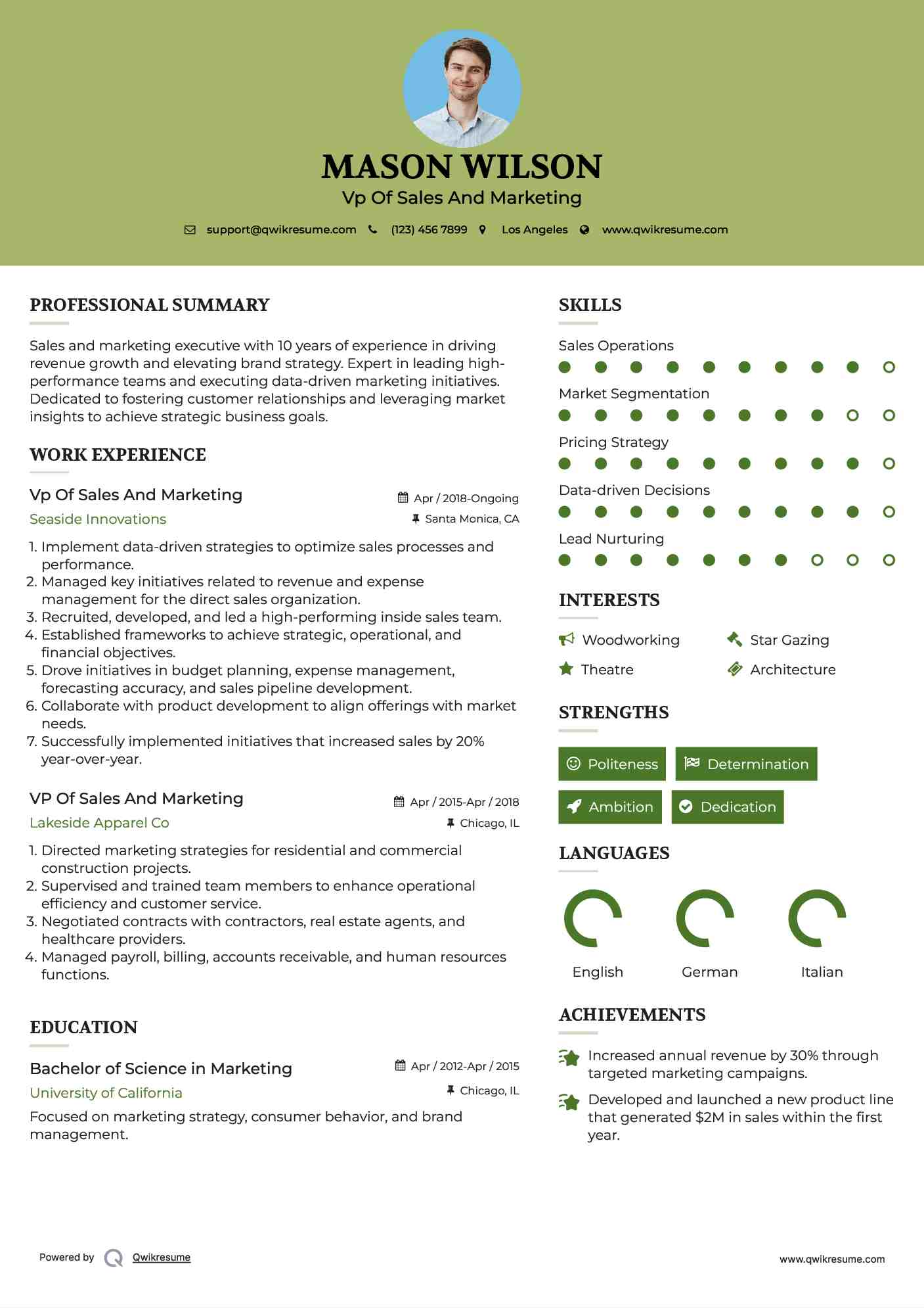 Vp Of Sales And Marketing Resume Sample