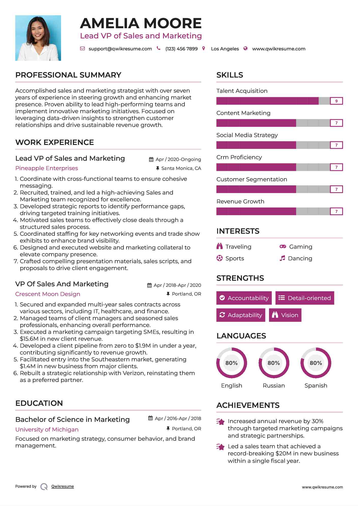 Lead VP of Sales and Marketing Resume Template