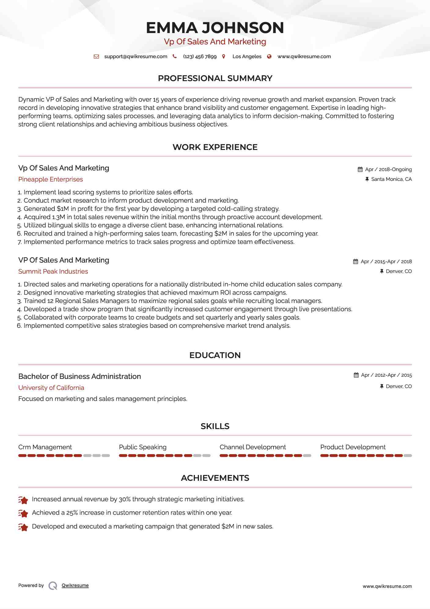 Vp Of Sales And Marketing Resume Format