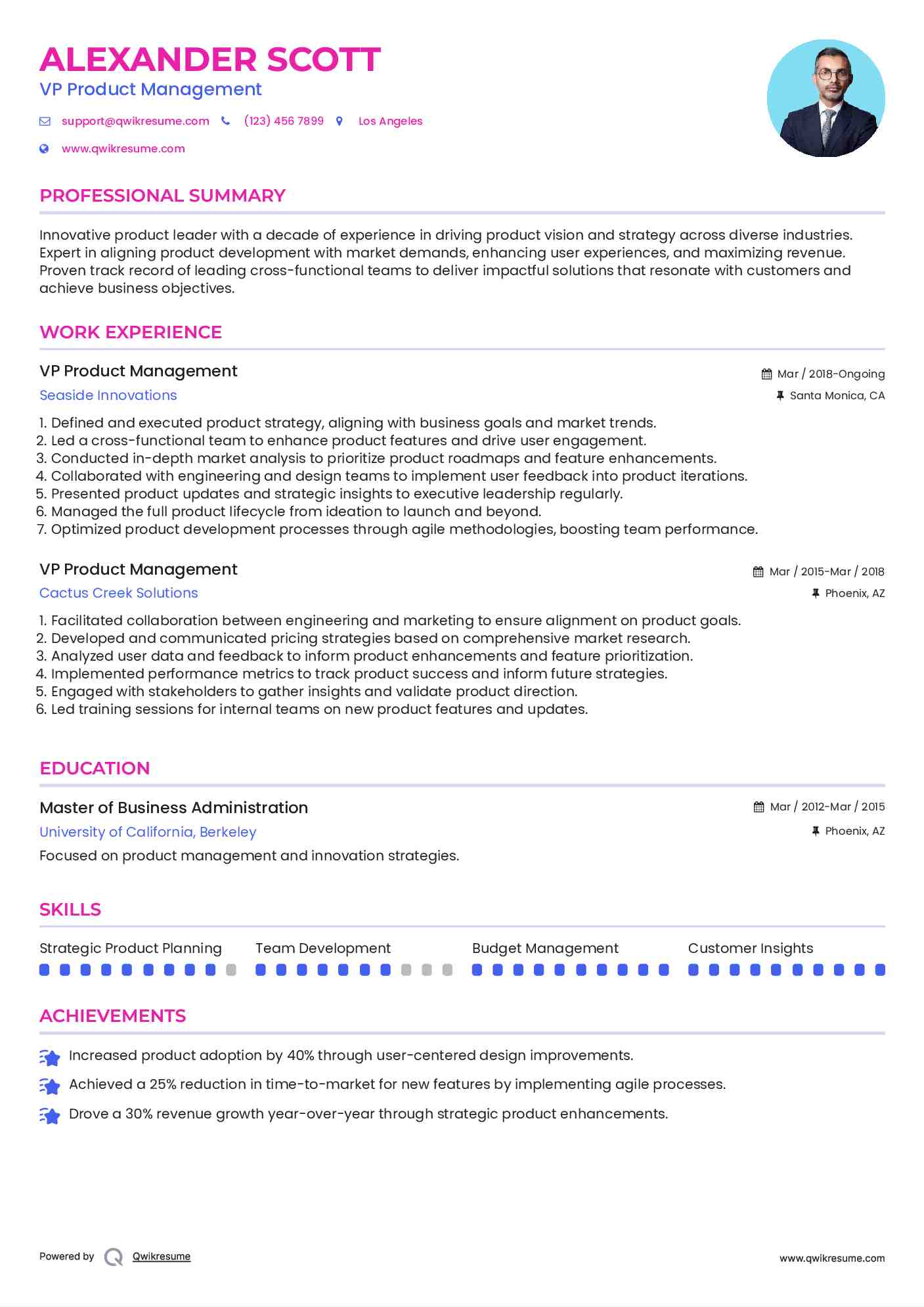 VP Product Management Resume Example
