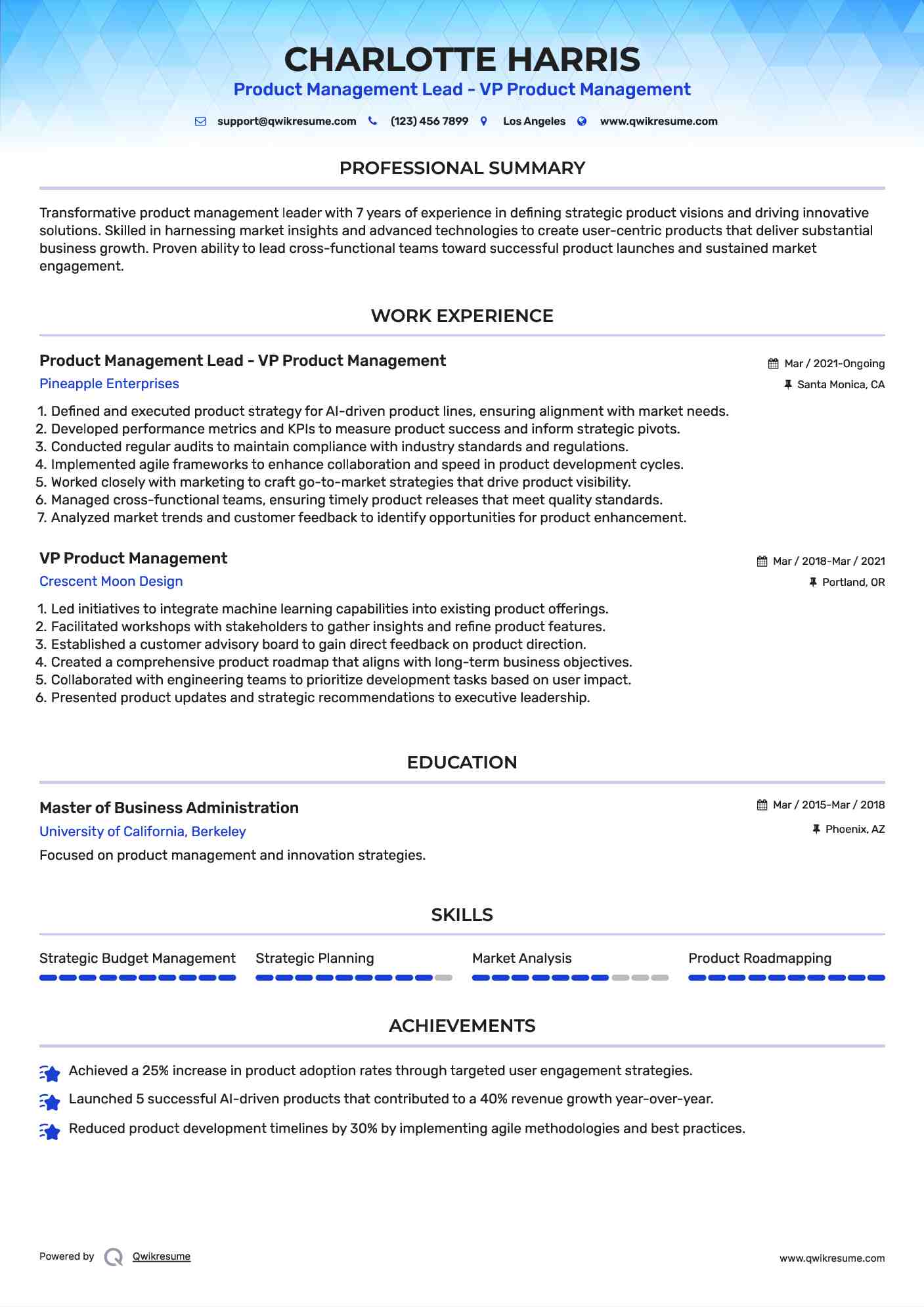 Product Management Lead - VP Product Management Resume Template