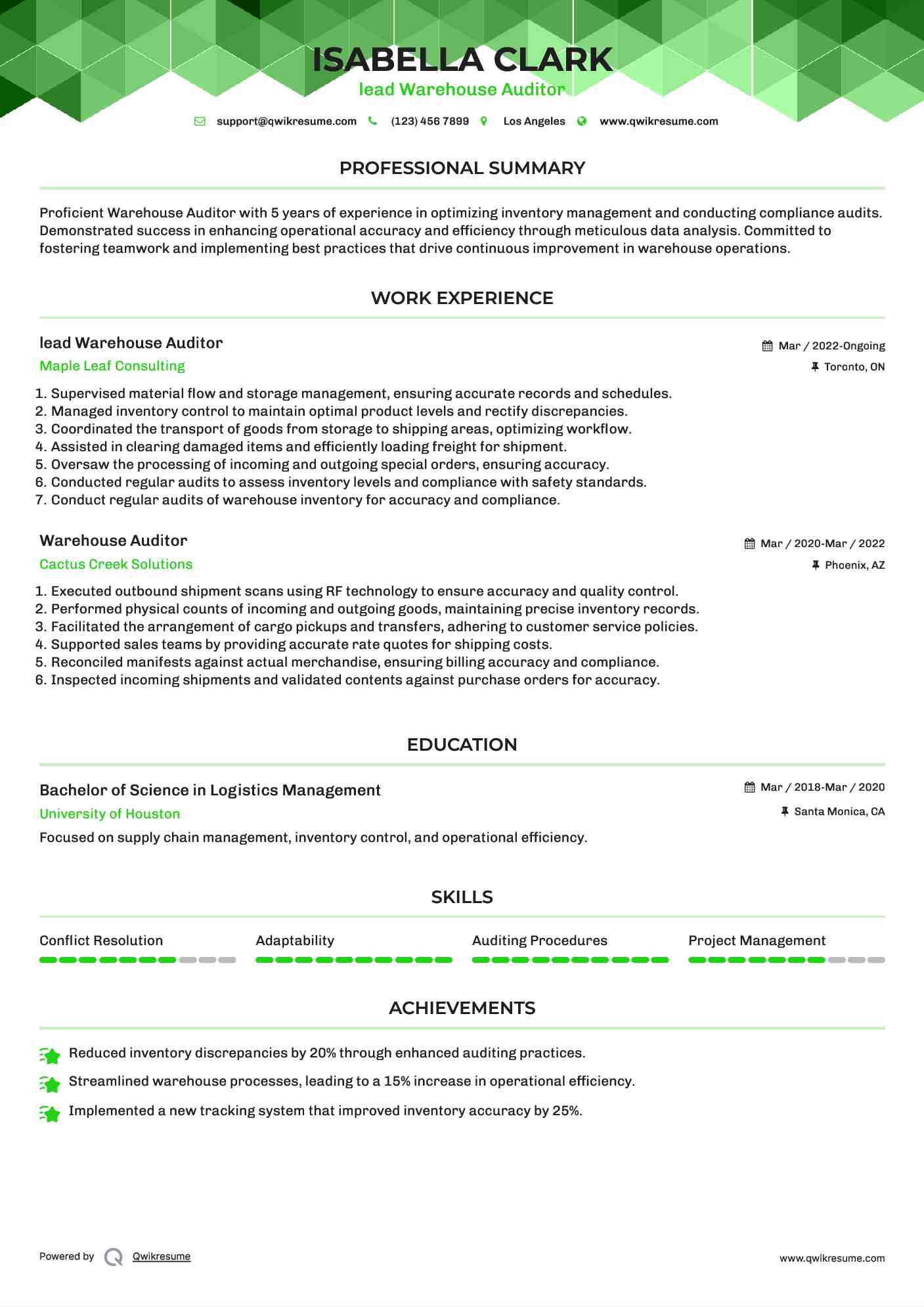 lead Warehouse Auditor Resume Sample
