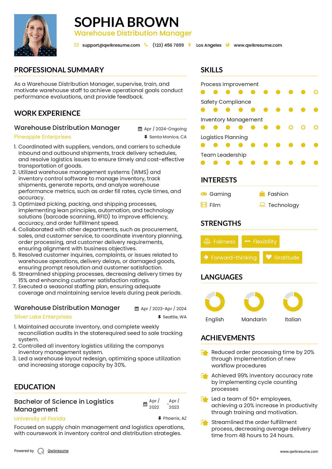 Warehouse Distribution Manager Resume Example