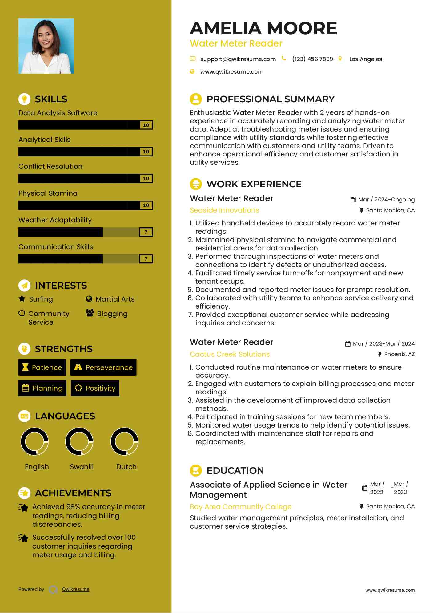 Water Meter Reader Resume Model