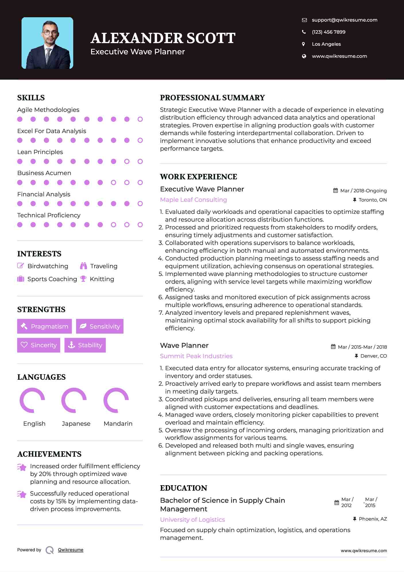 Executive Wave Planner Resume Model