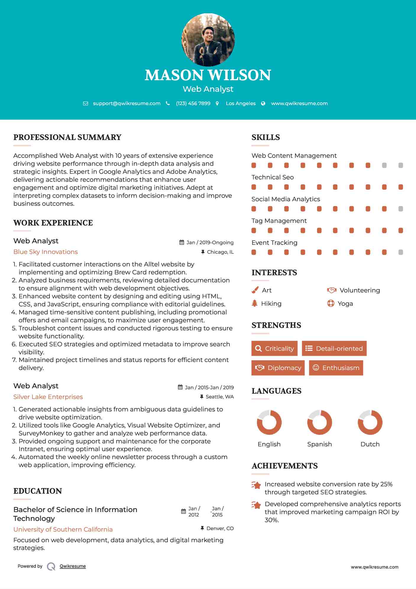 Web Analyst Resume Model