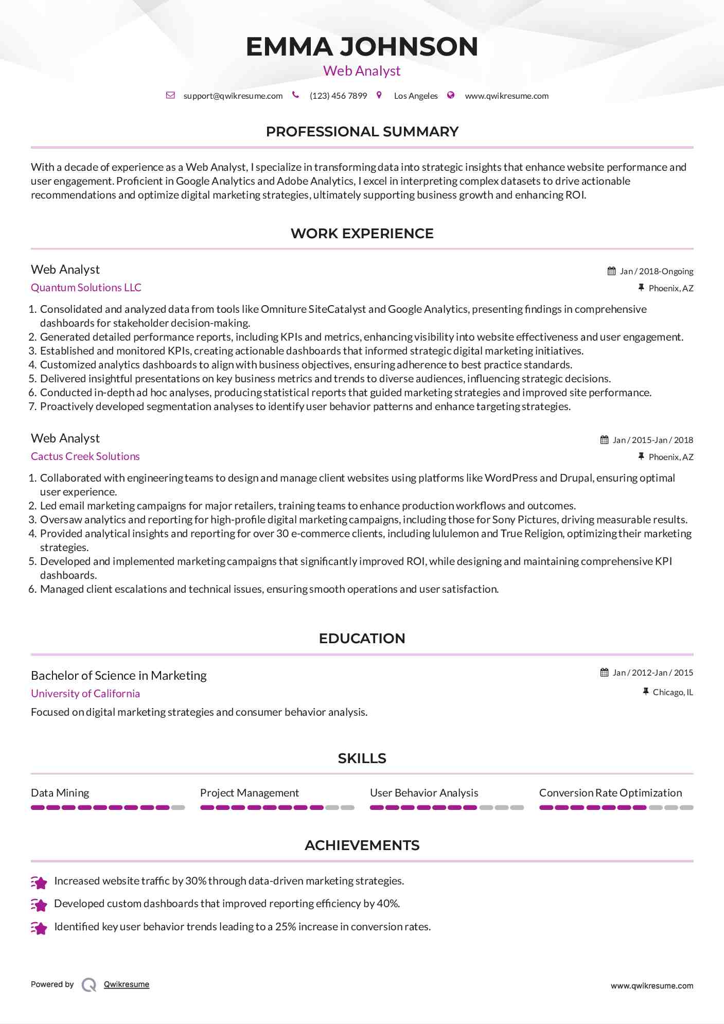 Web Analyst Resume Sample