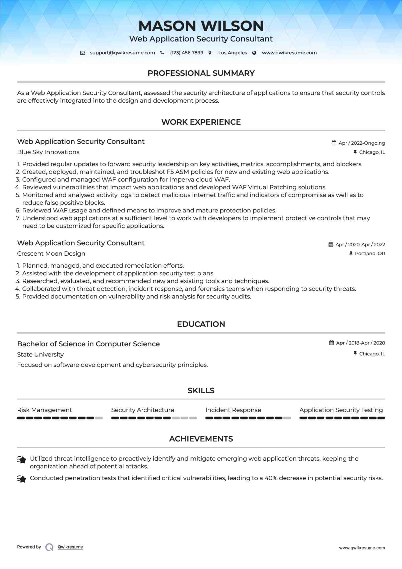 Web Application Security Consultant Resume Model