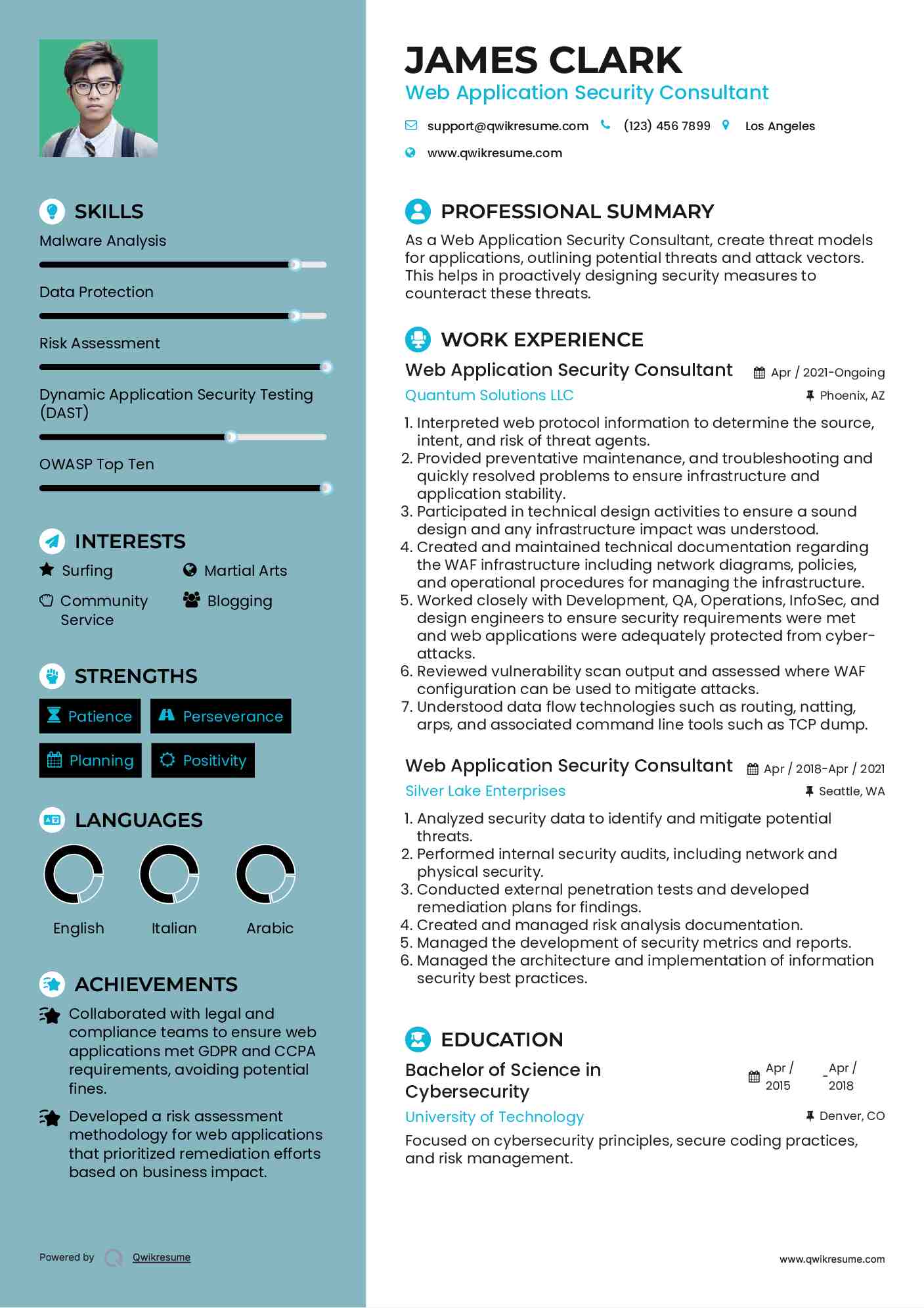 Web Application Security Consultant Resume Example