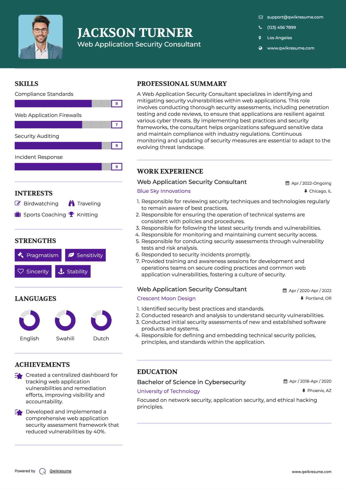 Web Application Security Consultant Resume Example
