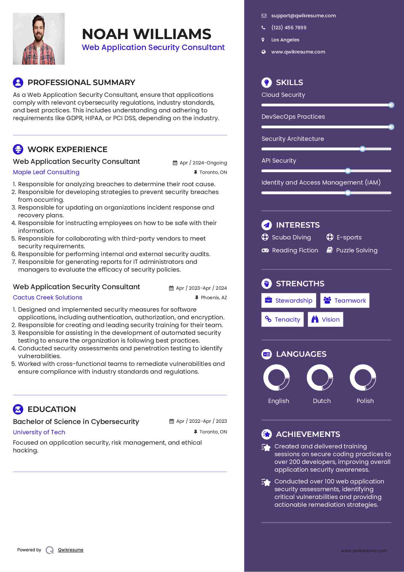 Web Application Security Consultant Resume Model