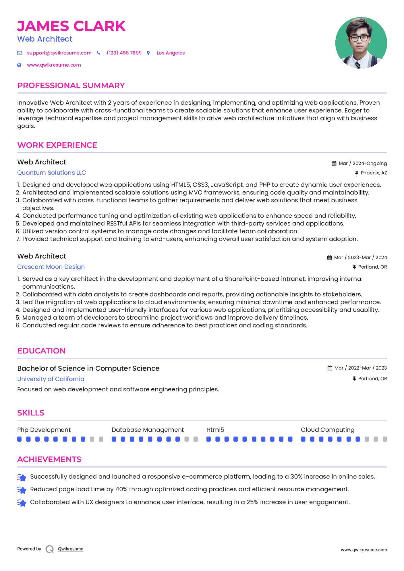 Web Architect Resume Model