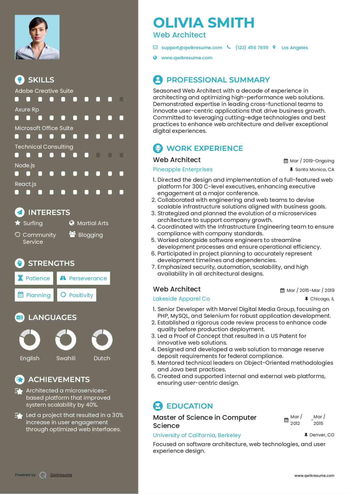 Web Architect Resume Sample