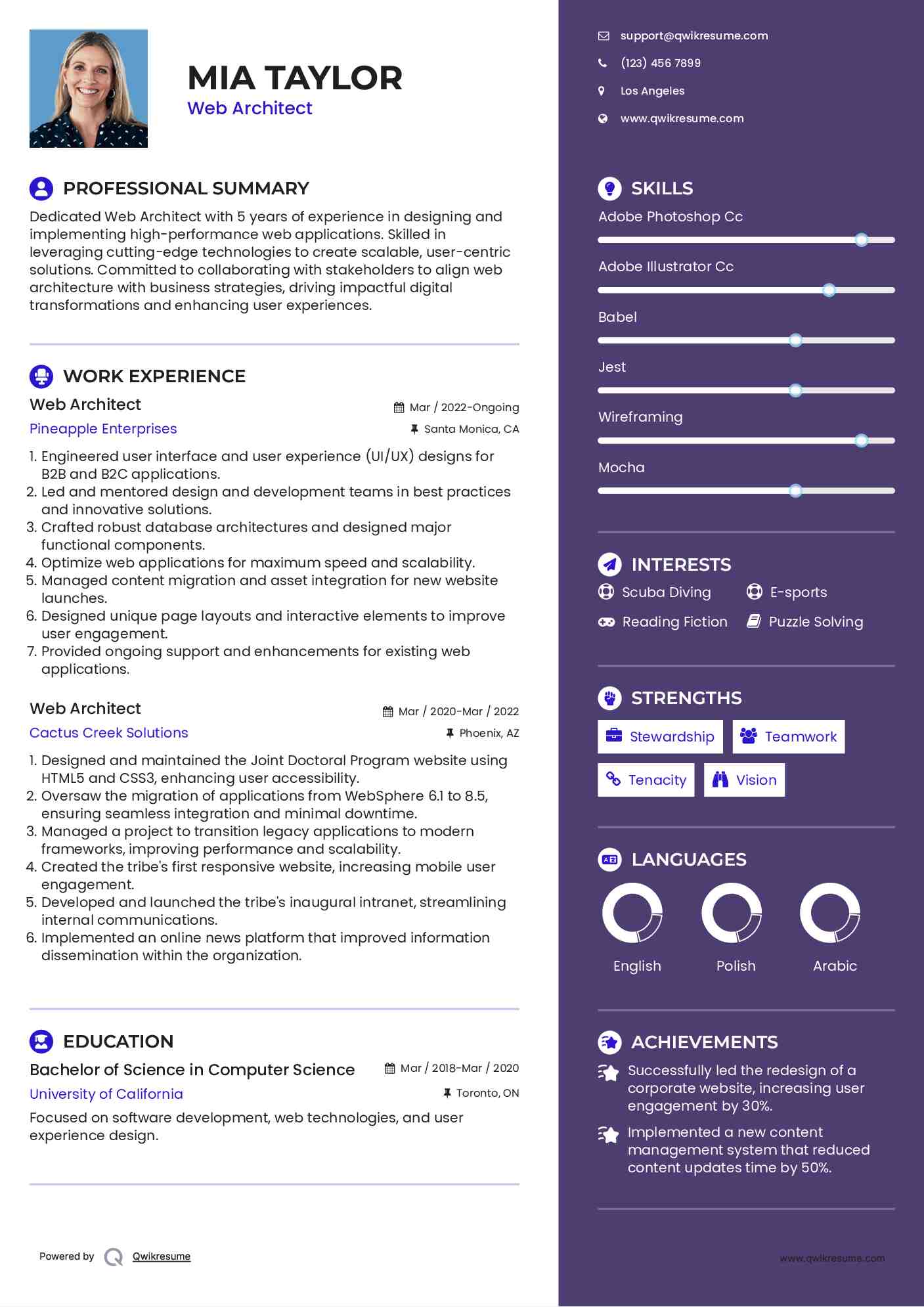 Web Architect Resume Template