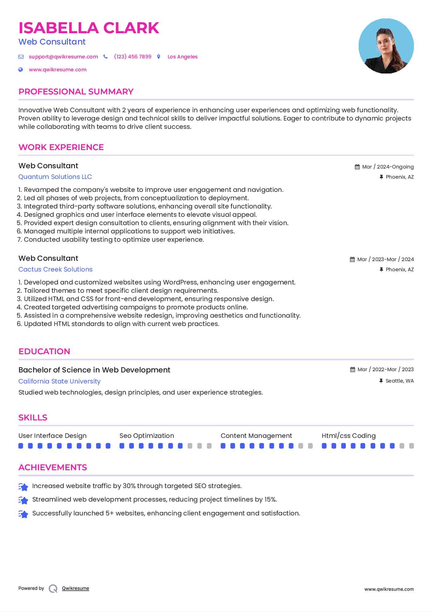 Web Consultant Resume Model