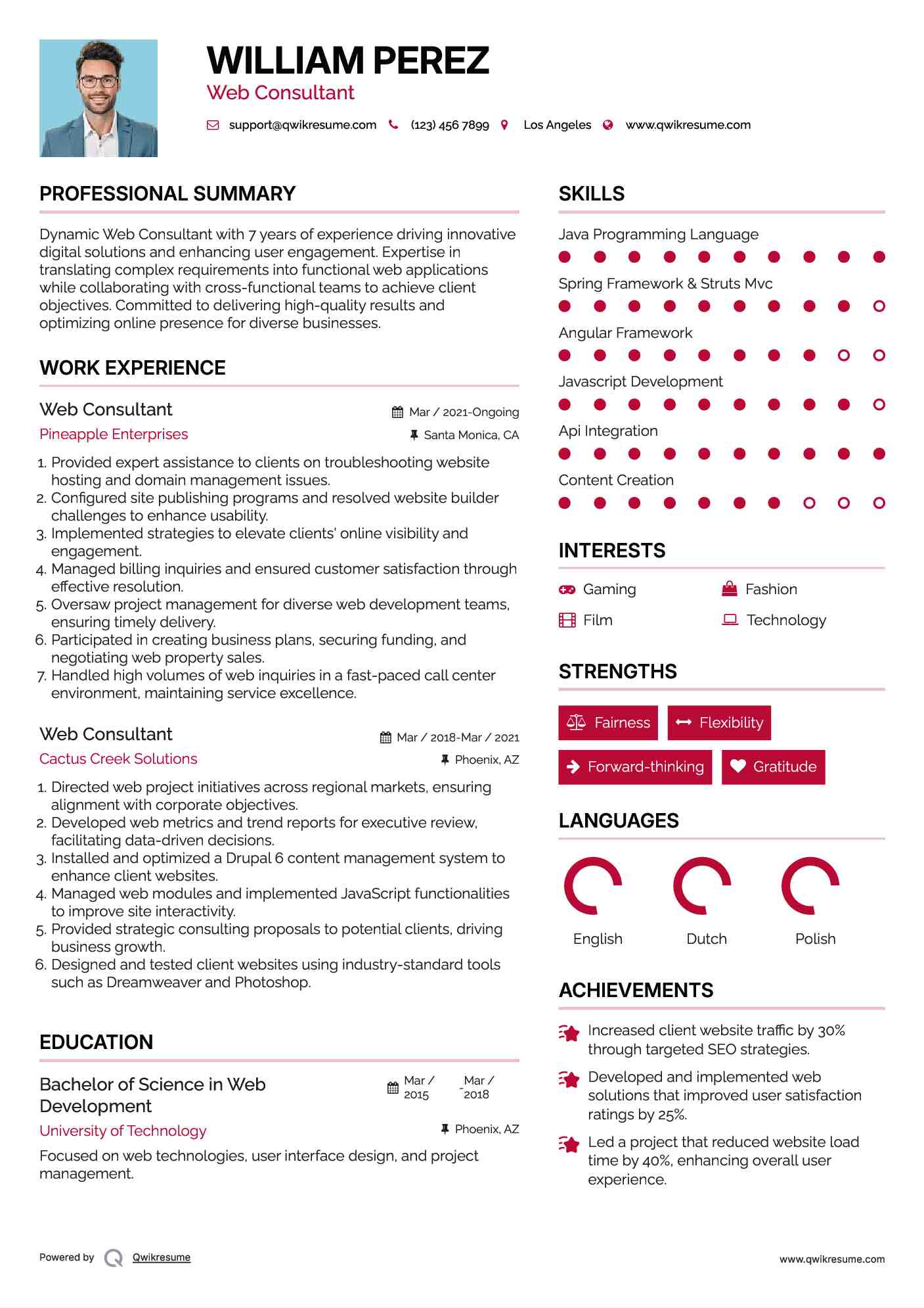 Web Consultant Resume Model