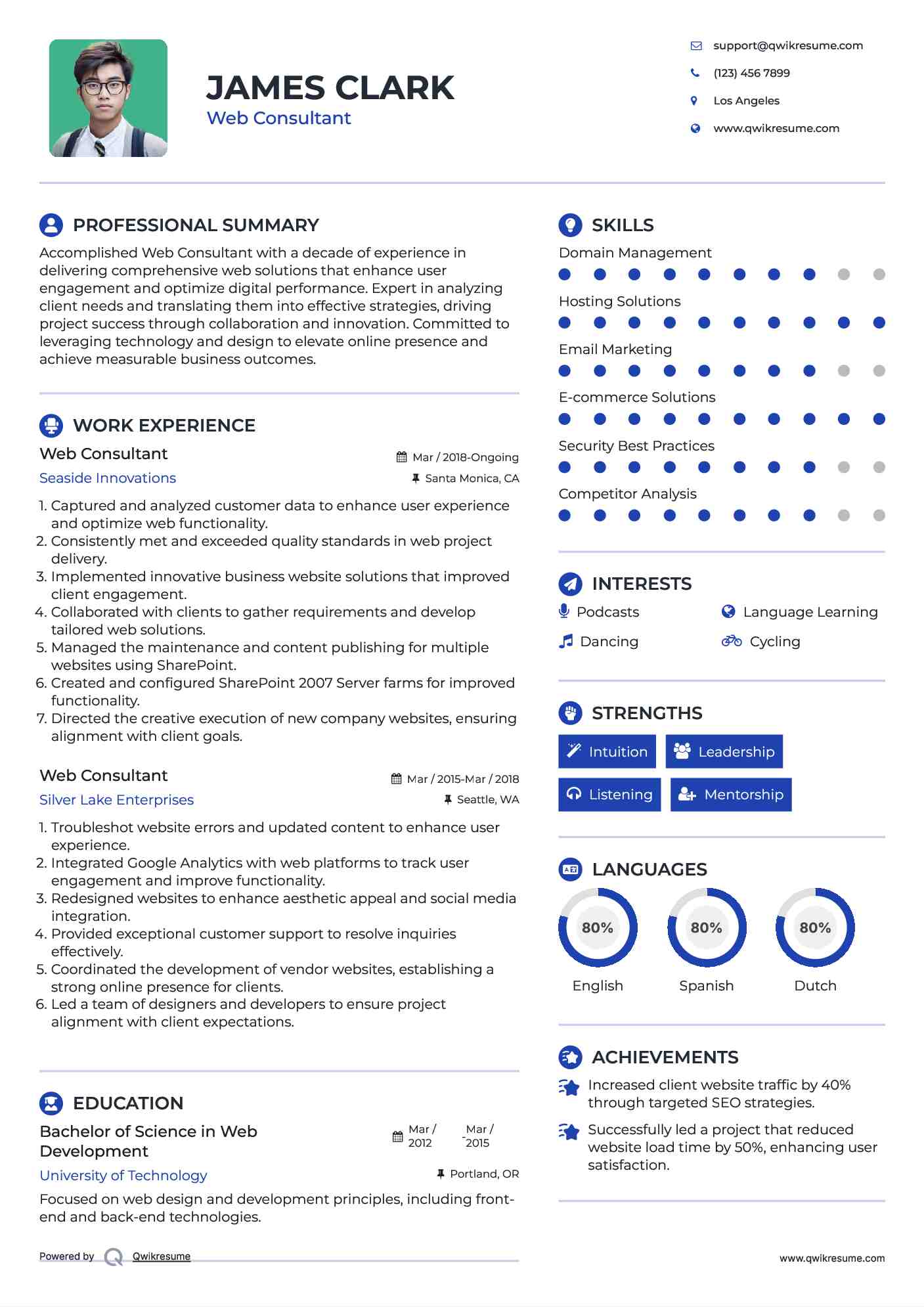 Web Consultant Resume Format