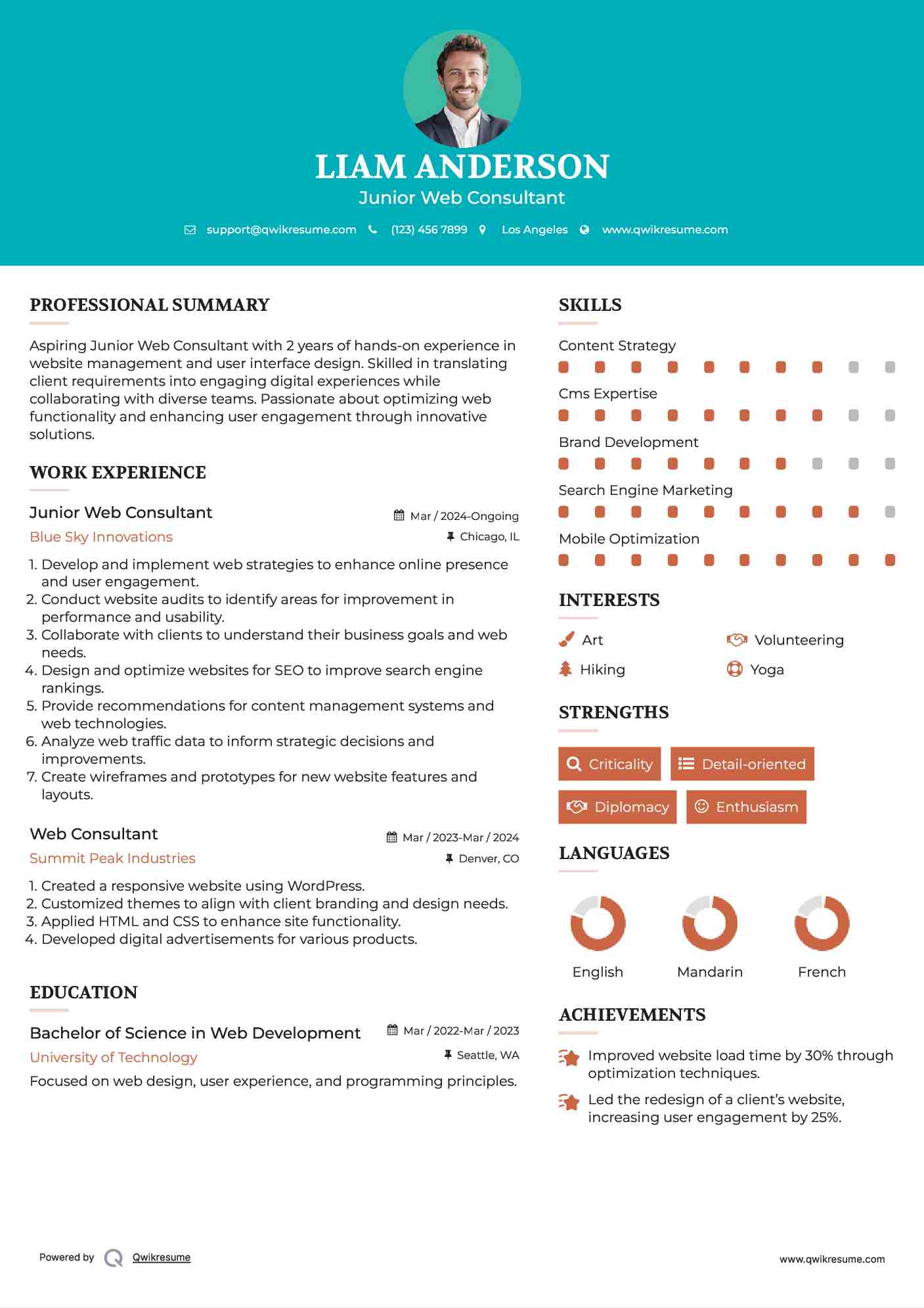 Junior Web Consultant Resume Model