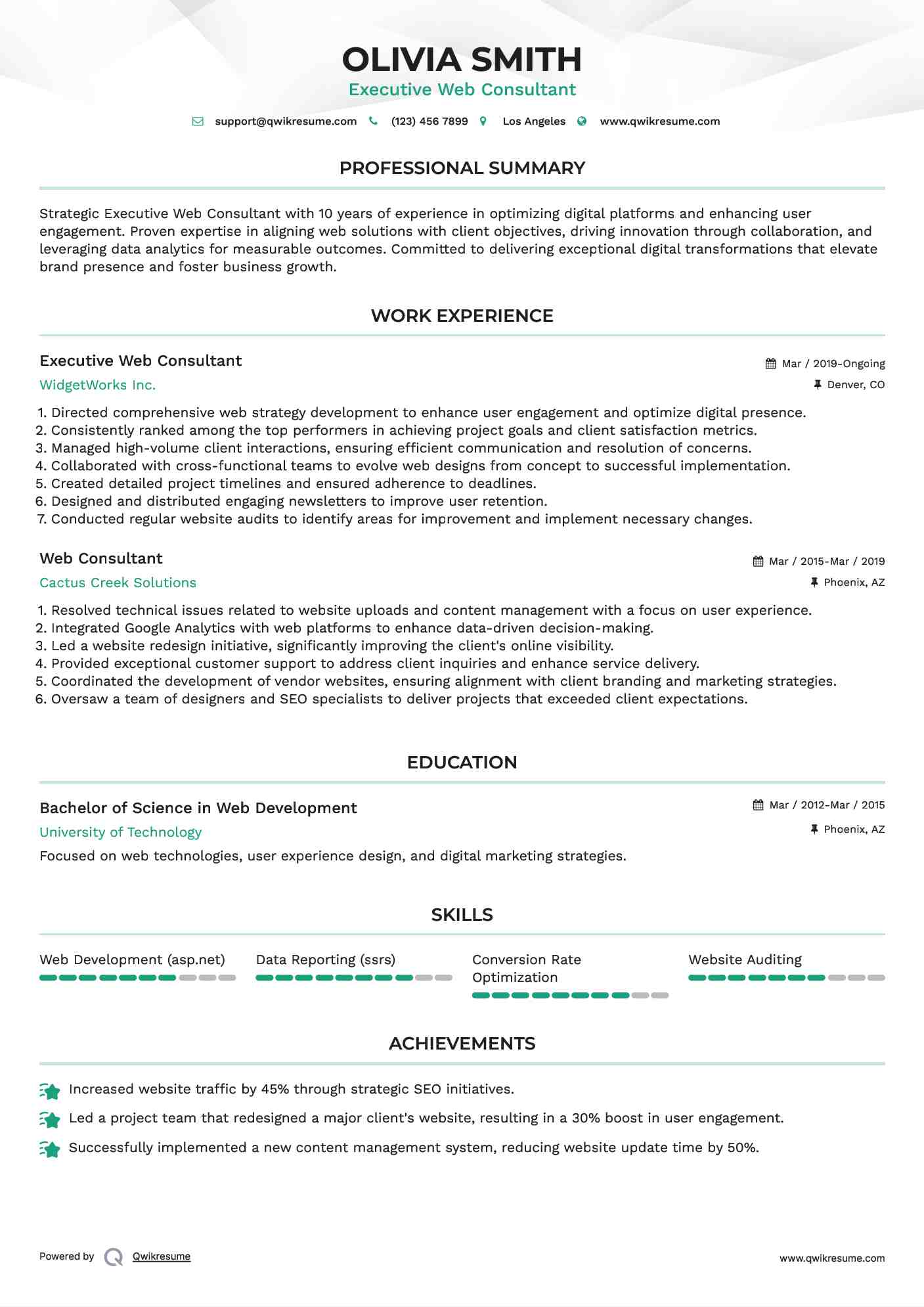 Executive Web Consultant Resume Sample